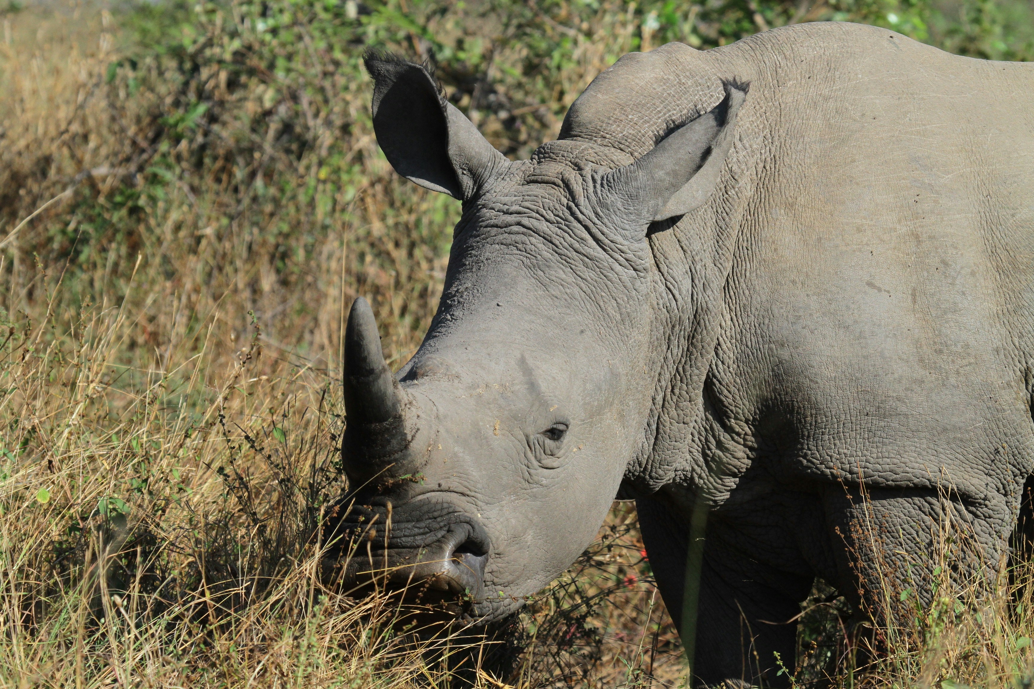 Photo by mitchbwilder