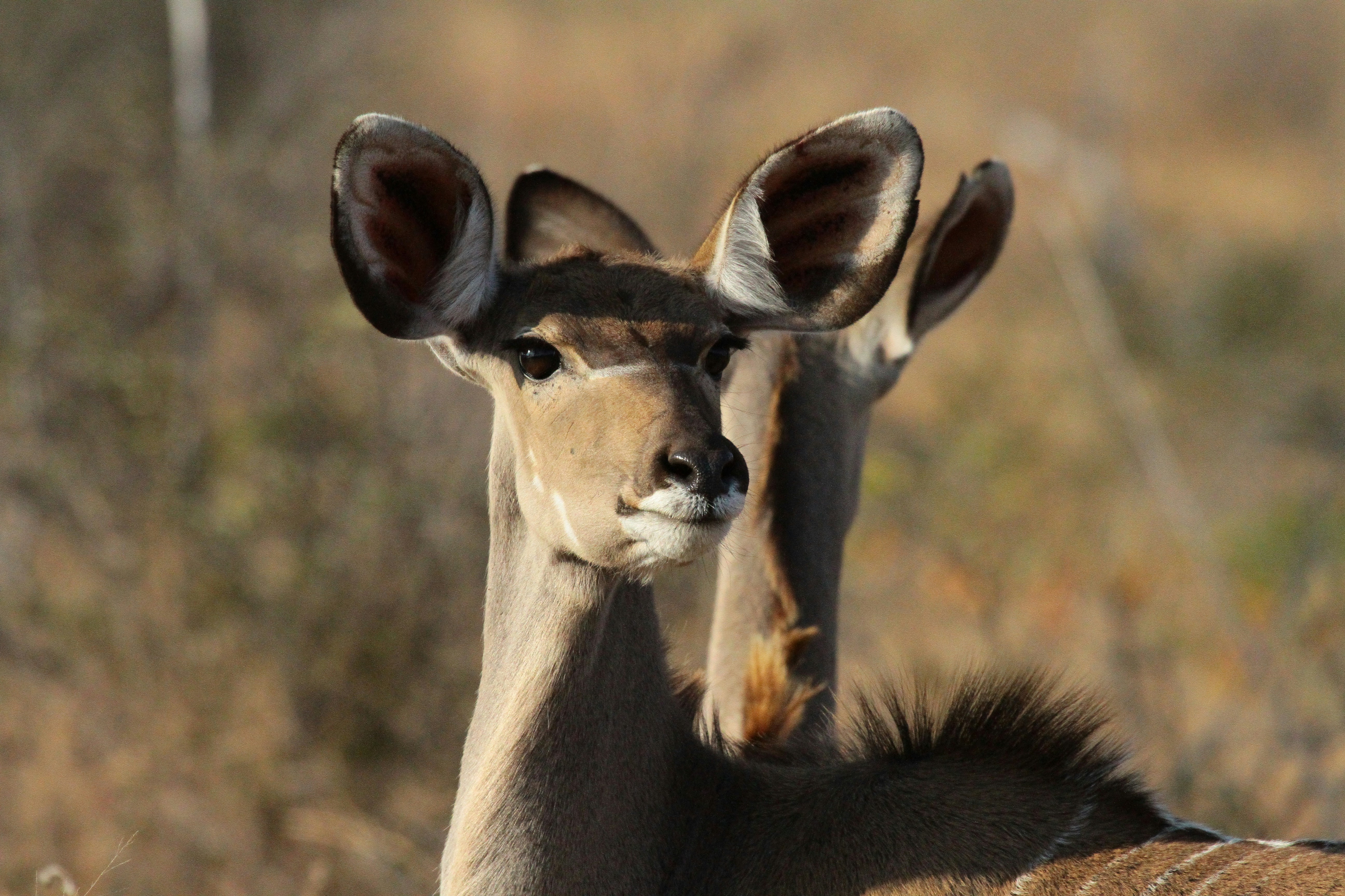 Photo by mitchbwilder