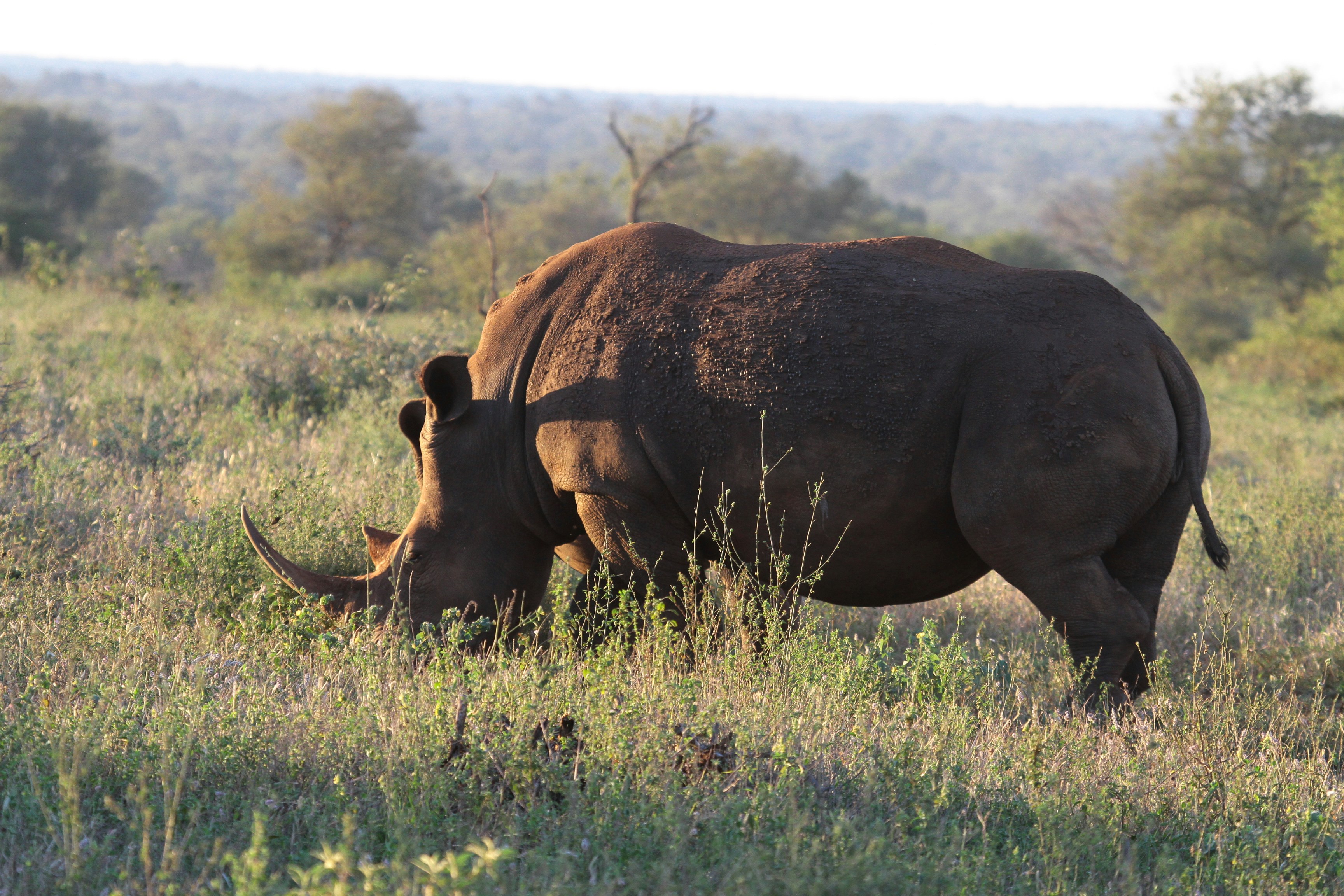 Photo by mitchbwilder