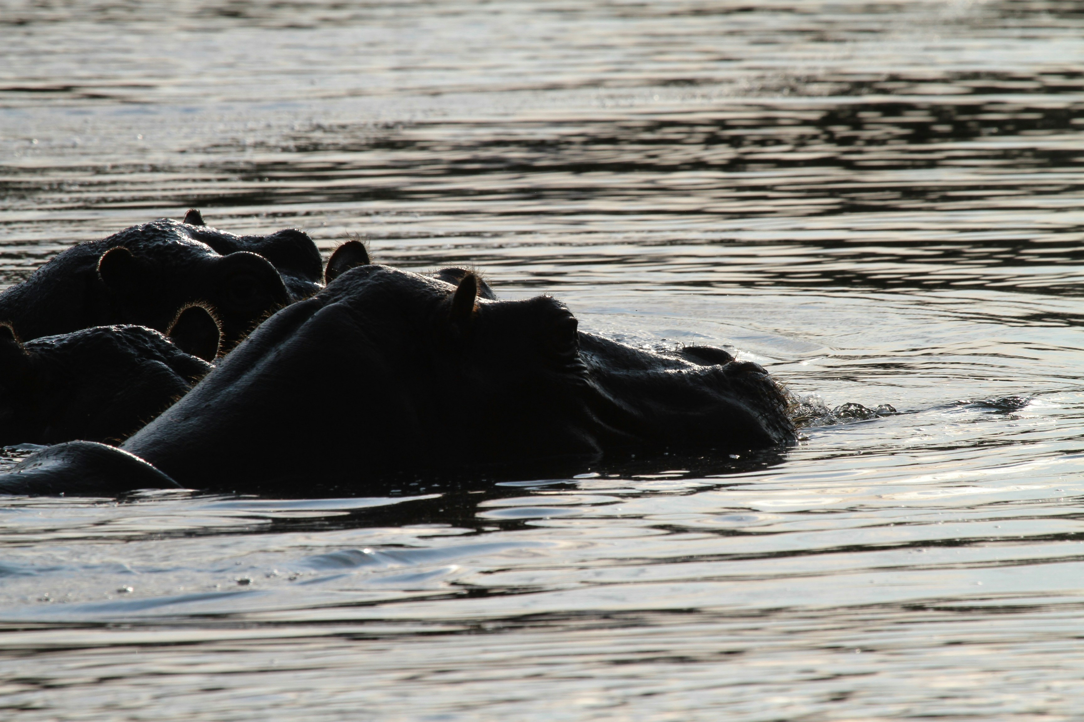 Photo by mitchbwilder