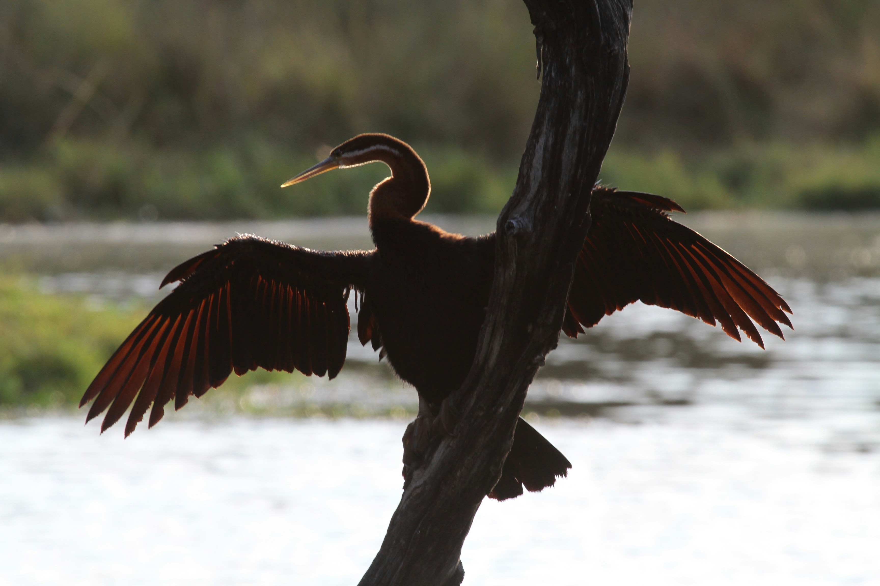 Photo by mitchbwilder