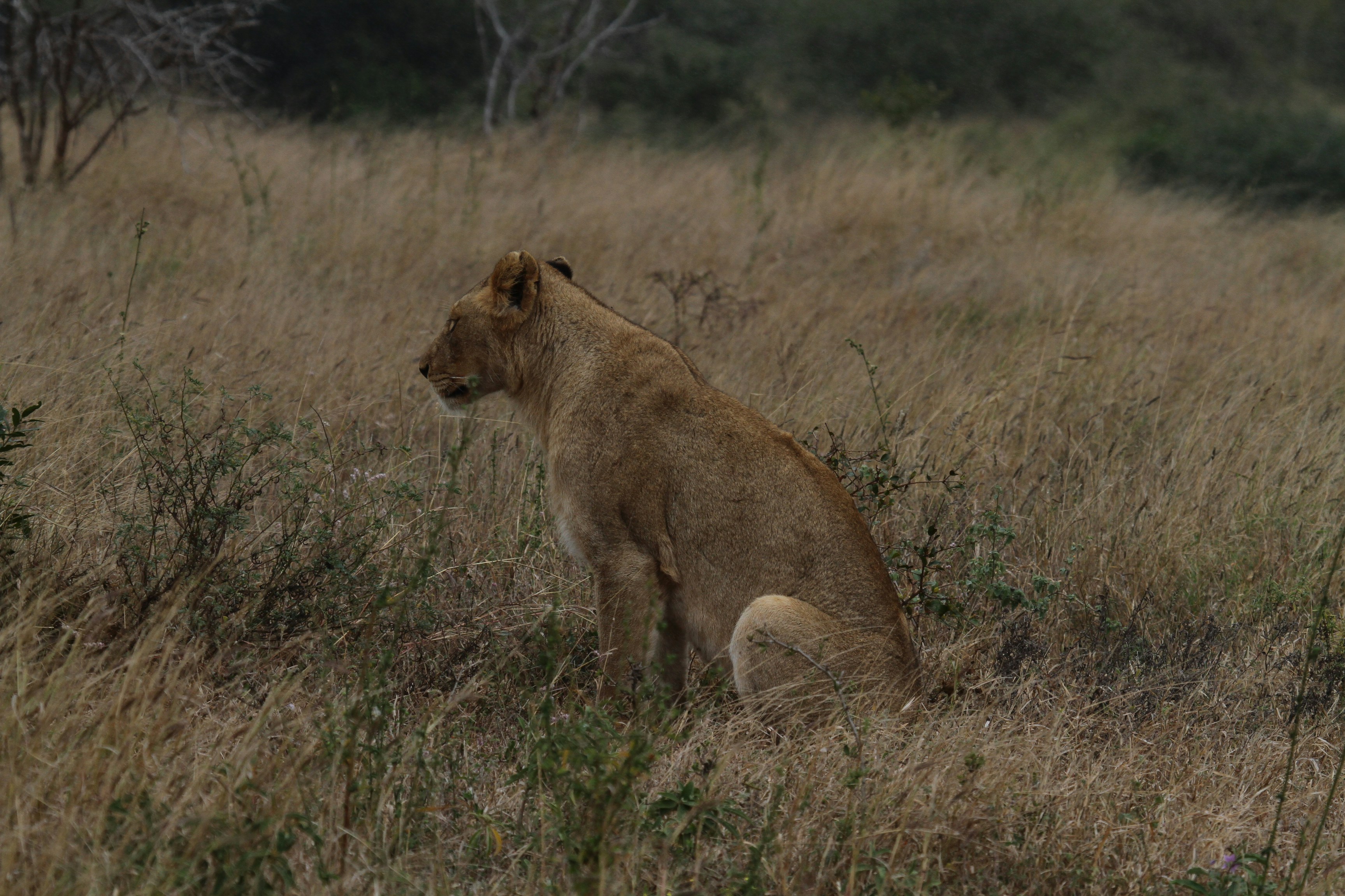 Photo by mitchbwilder