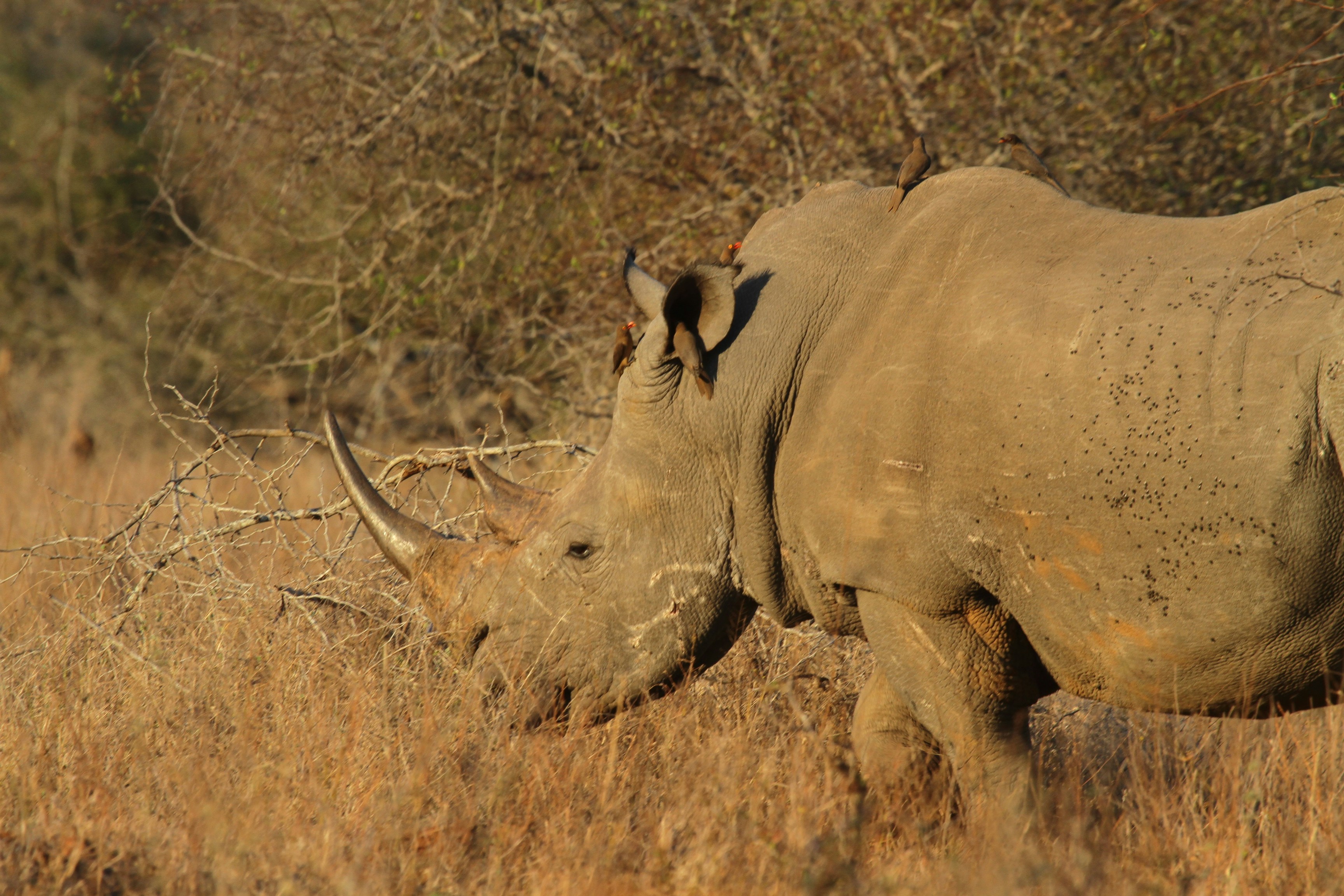 Photo by mitchbwilder