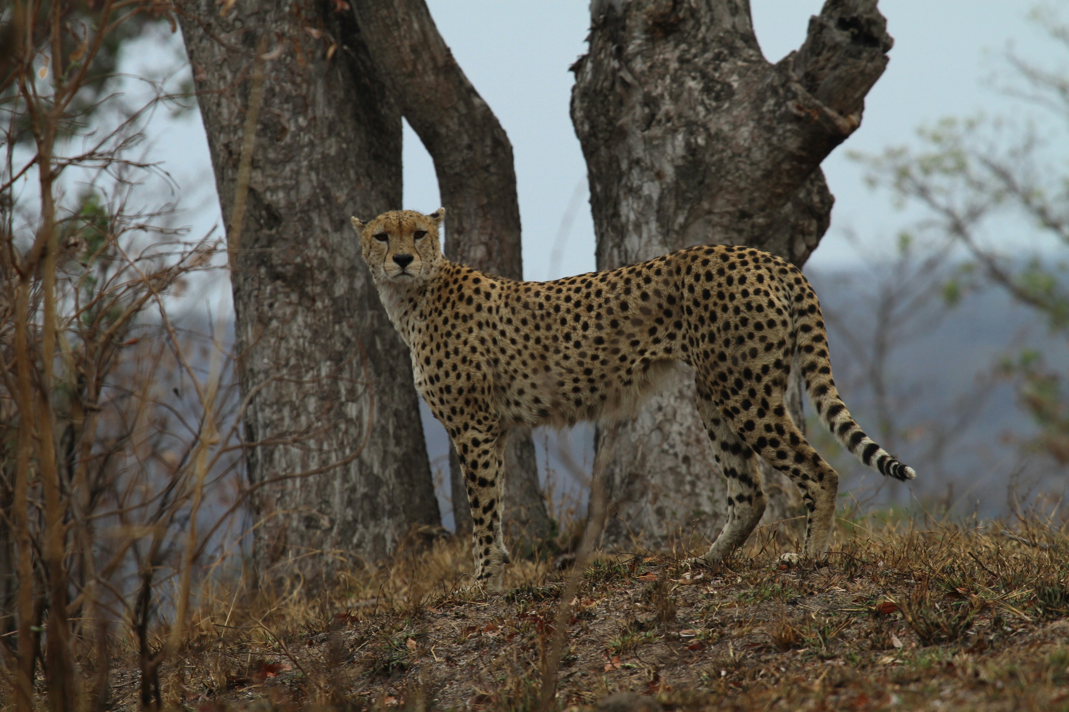 Photo by mitchbwilder