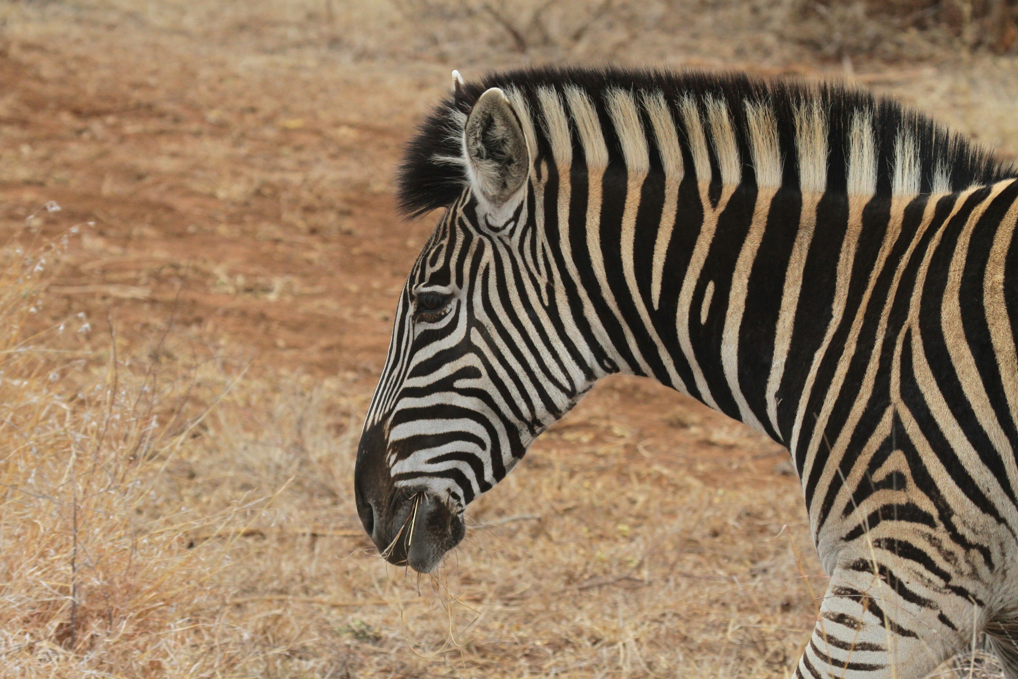 Photo by mitchbwilder