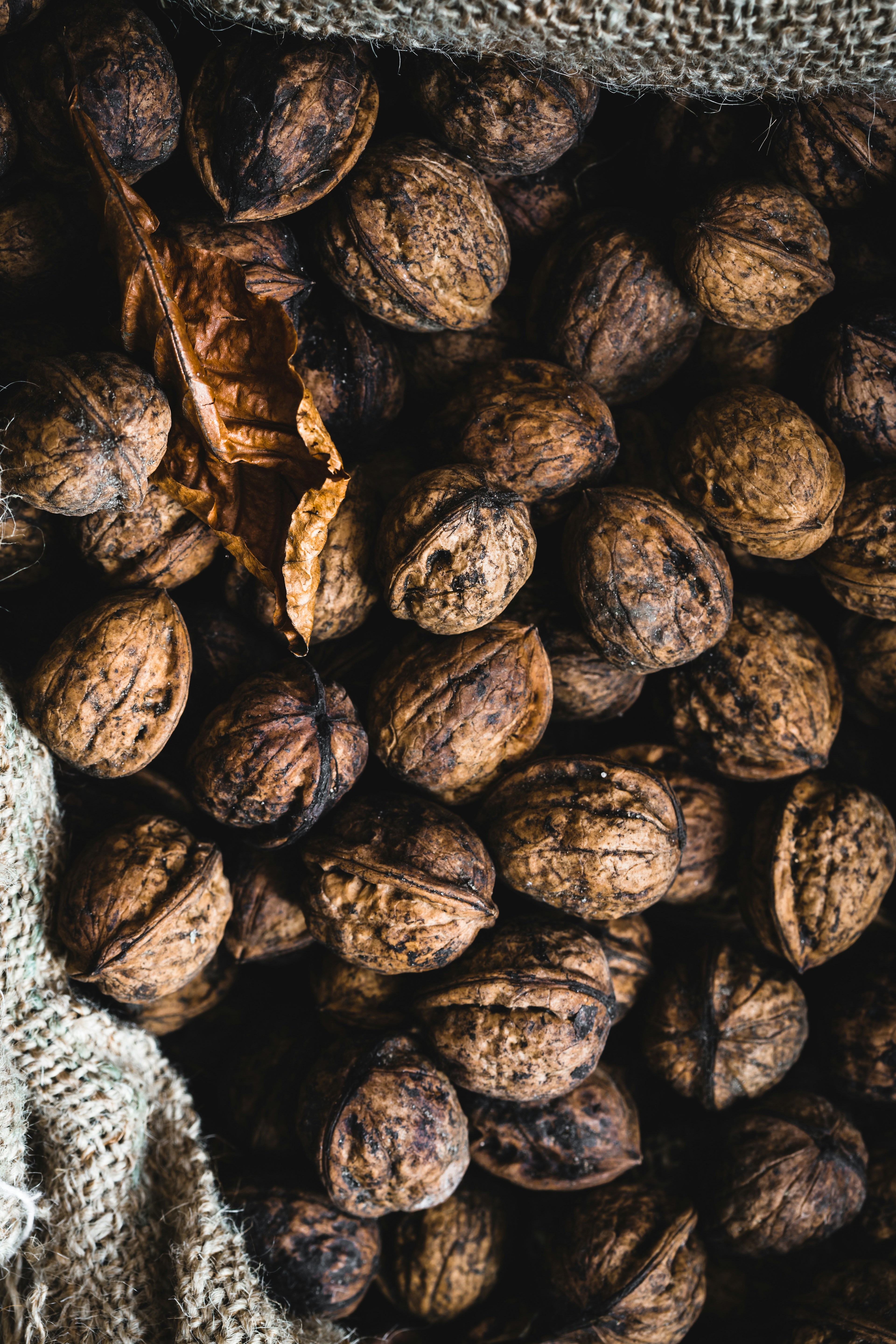 Photo by patrycjajadach