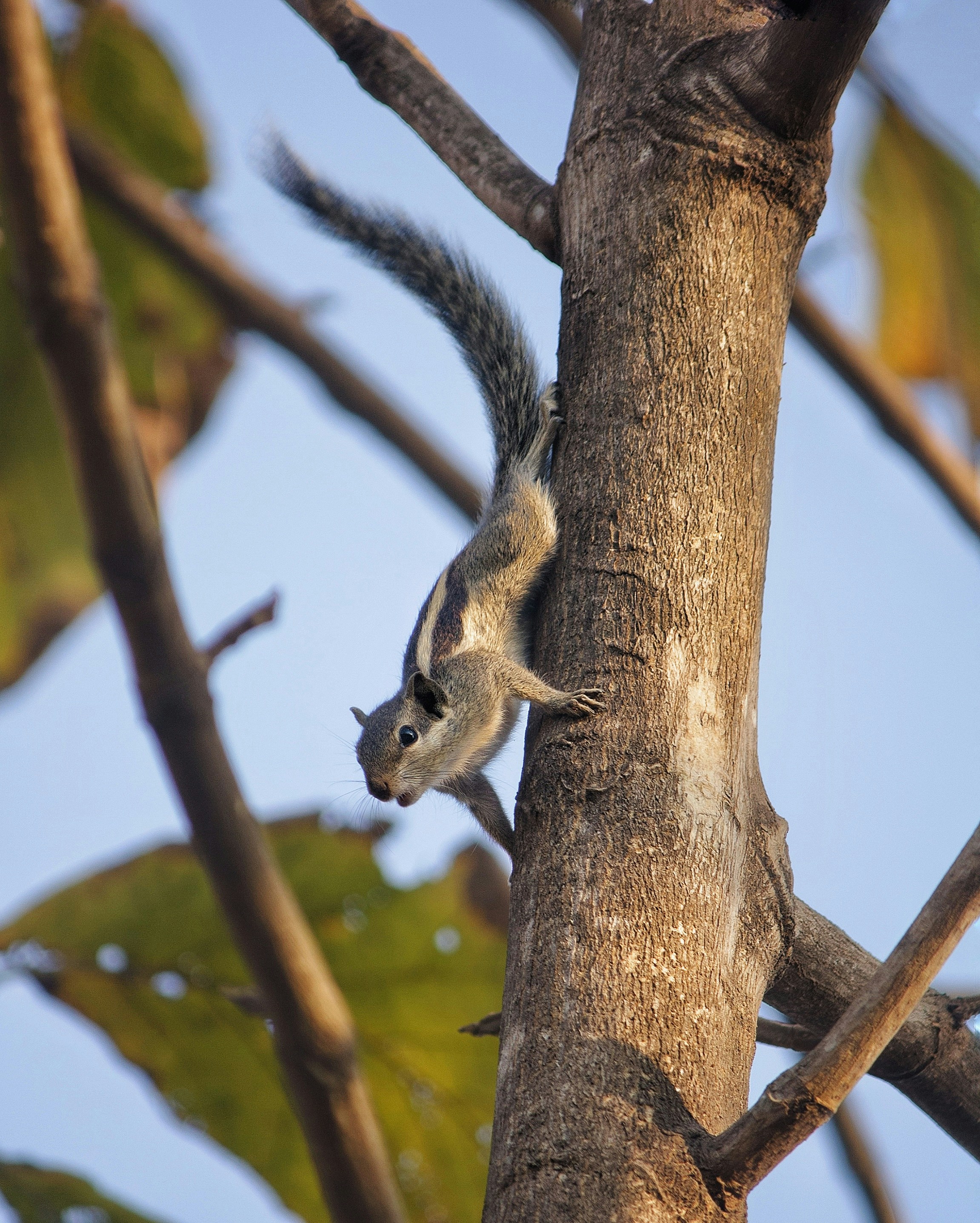 Photo by infinitepov