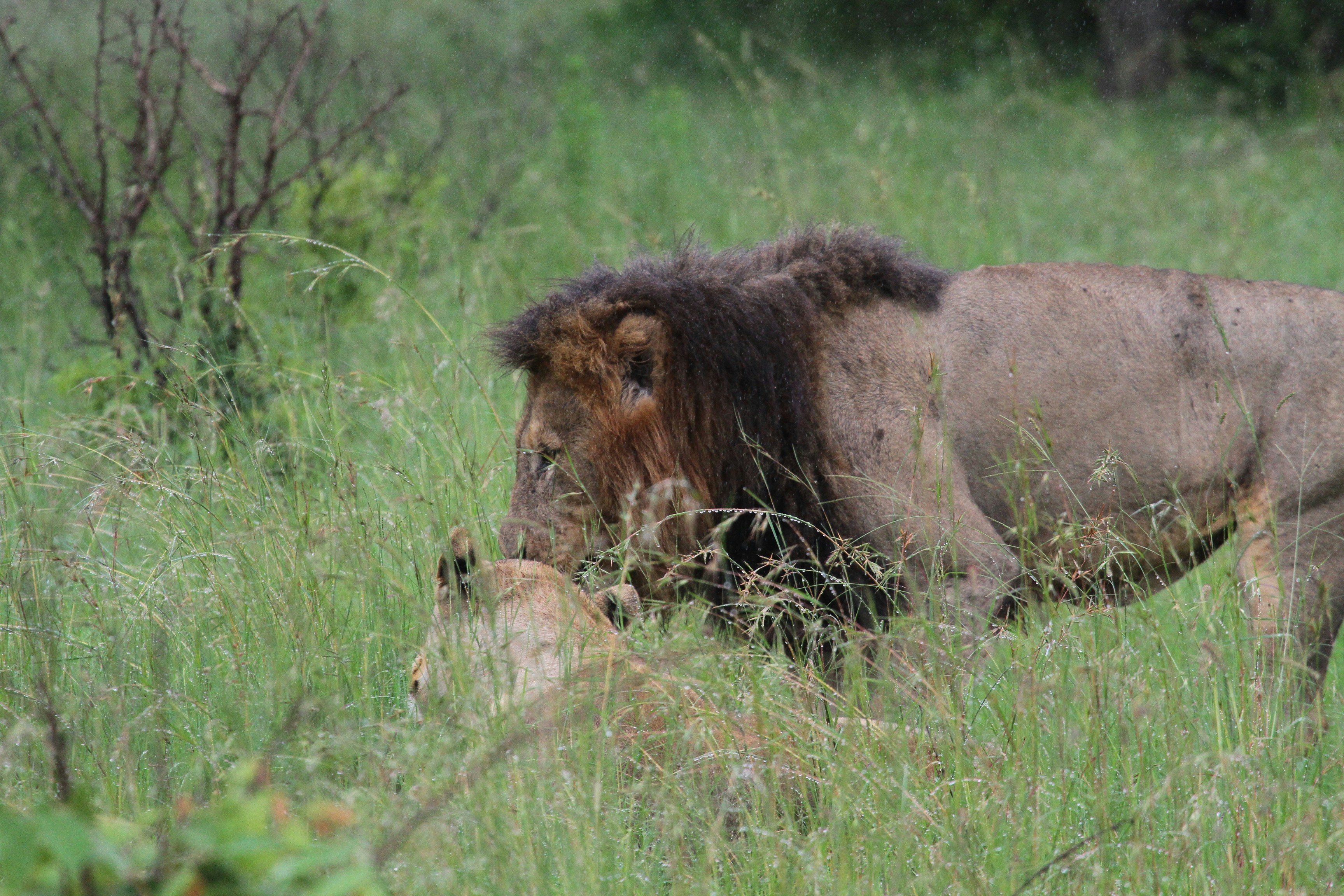 Photo by mitchbwilder