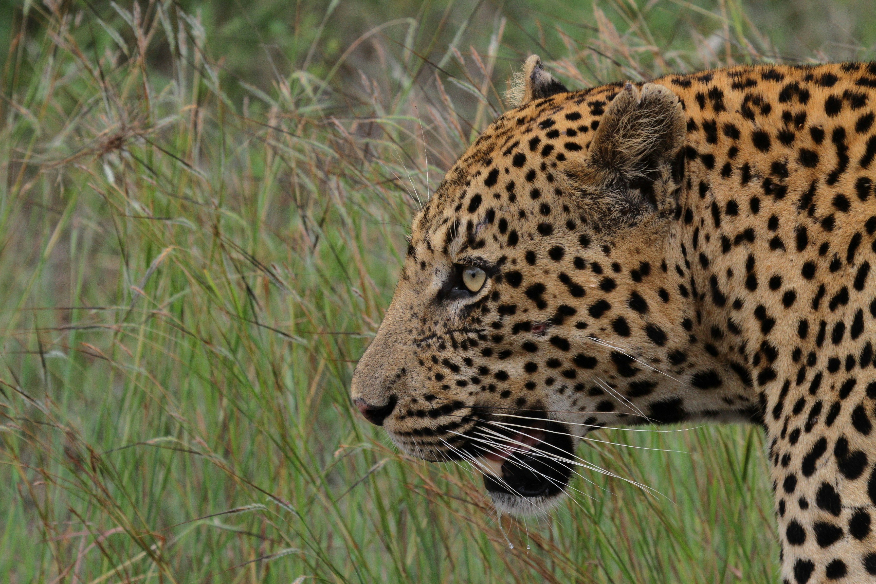 Photo by mitchbwilder