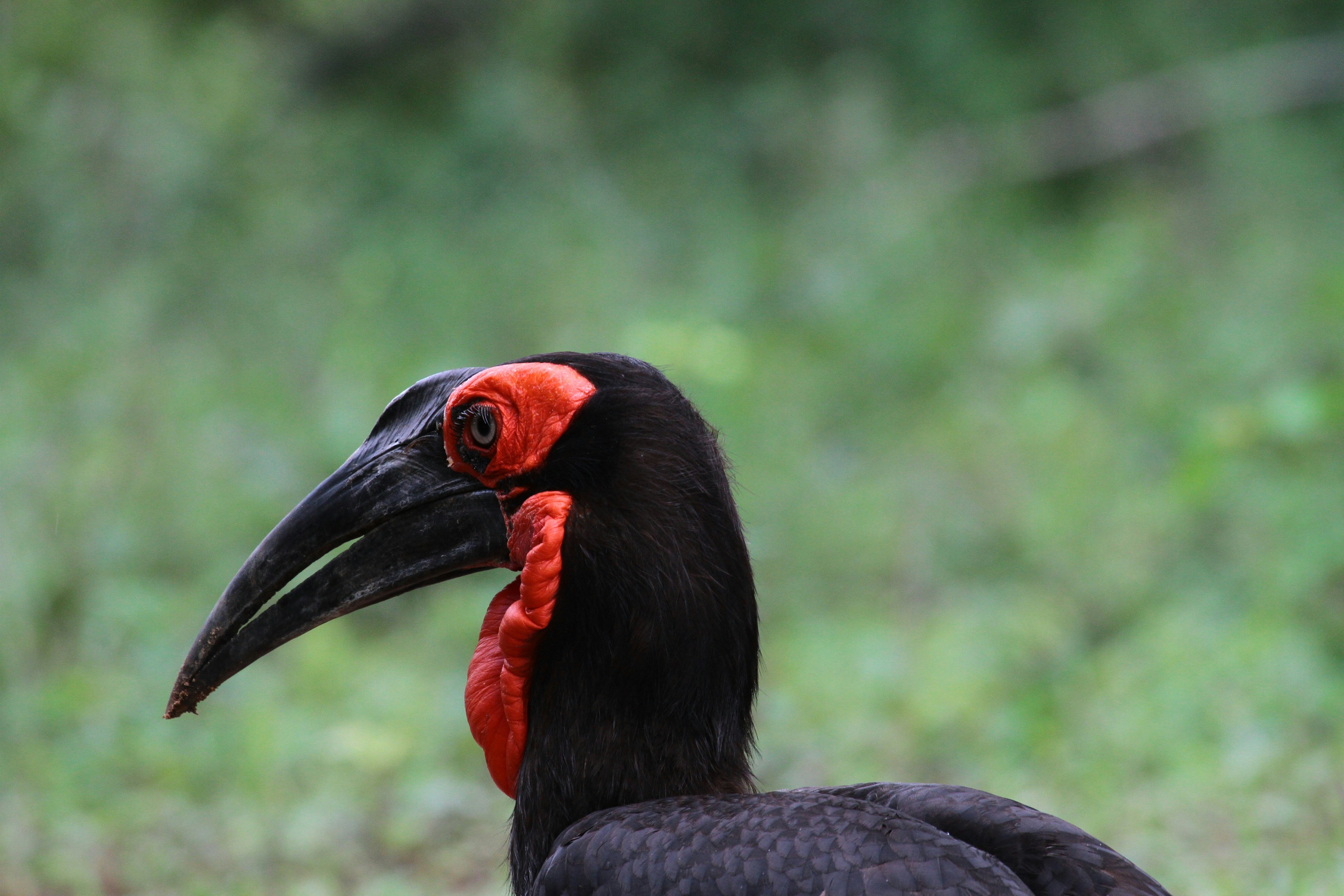 Photo by mitchbwilder