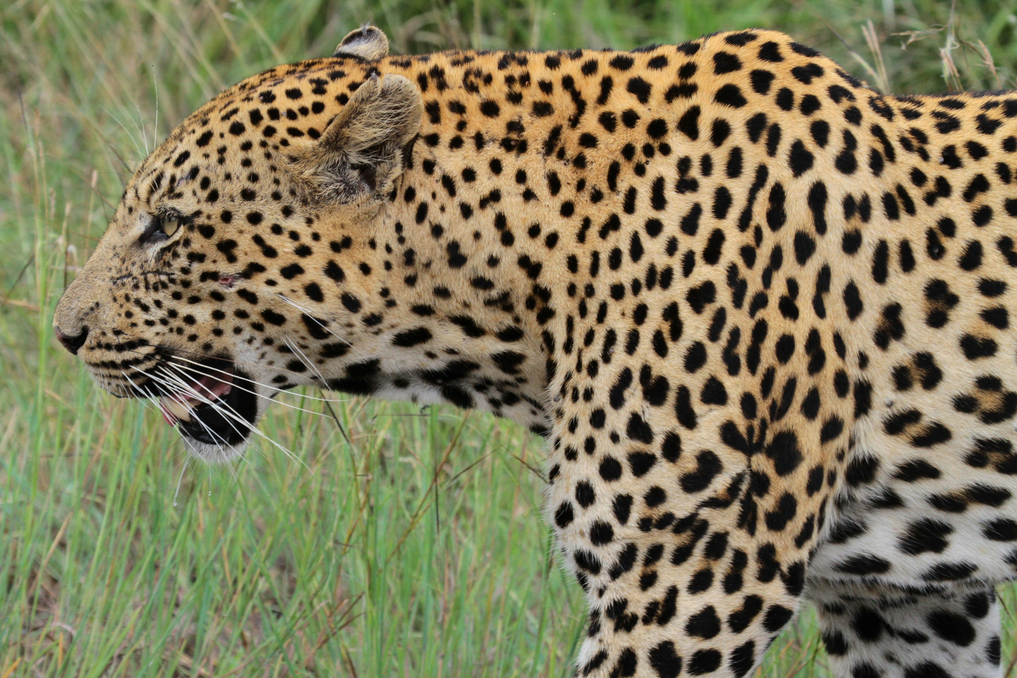 Photo by mitchbwilder