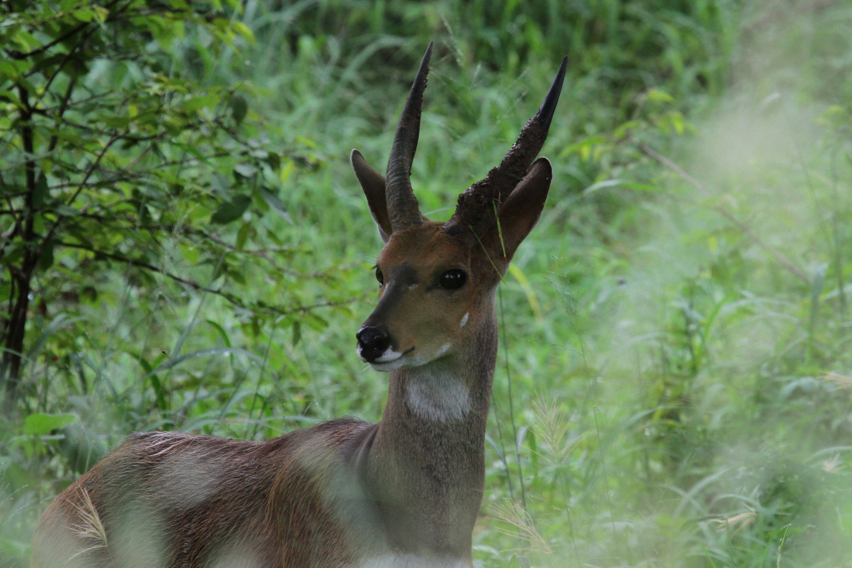 Photo by mitchbwilder