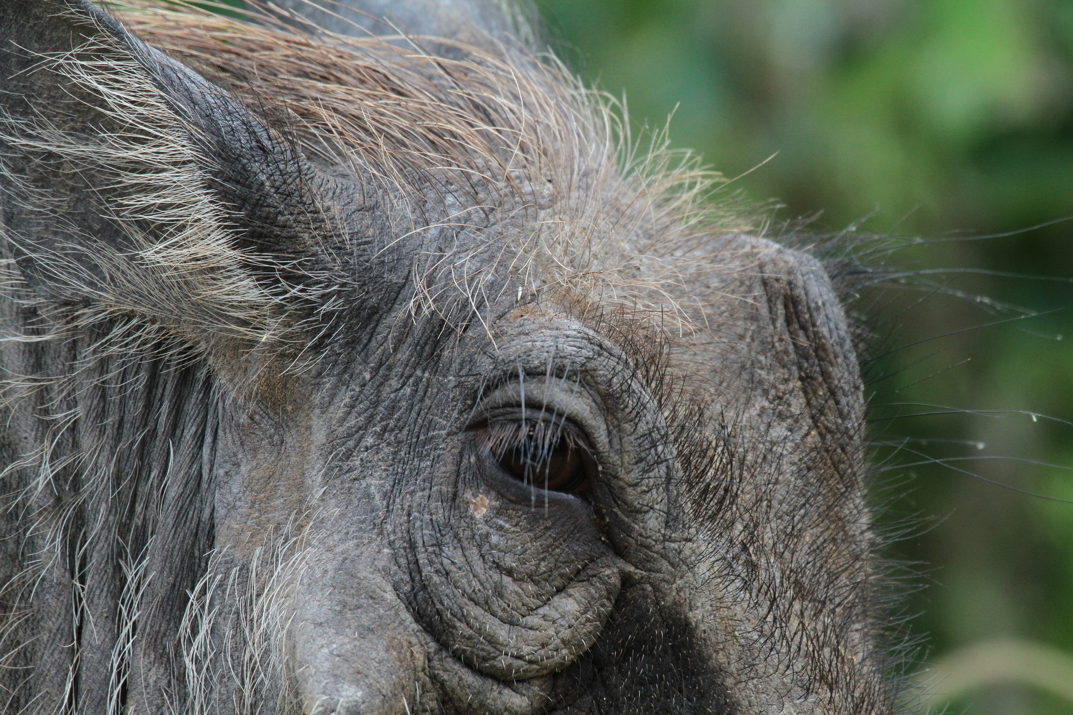 Photo by mitchbwilder