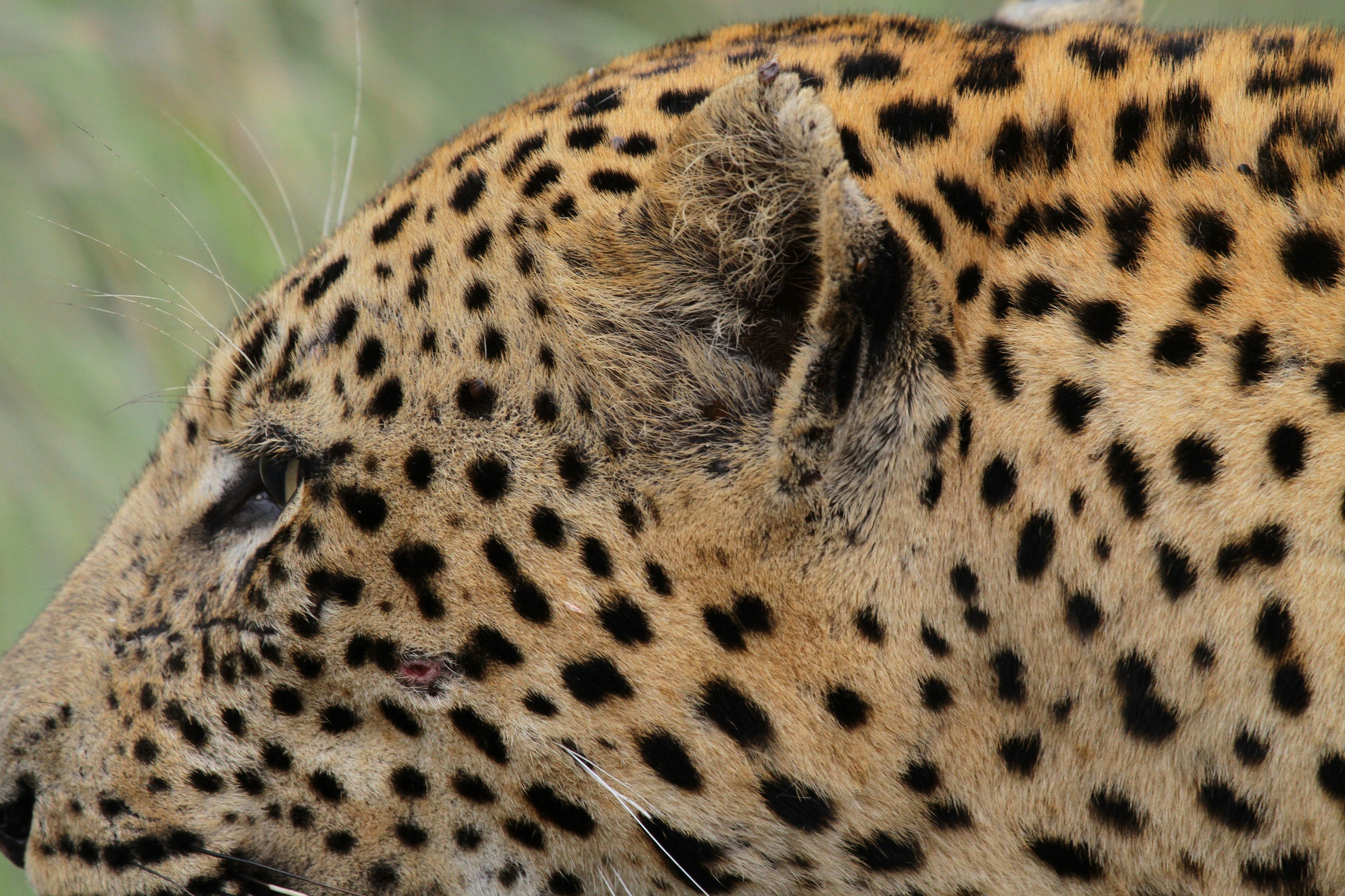 Photo by mitchbwilder