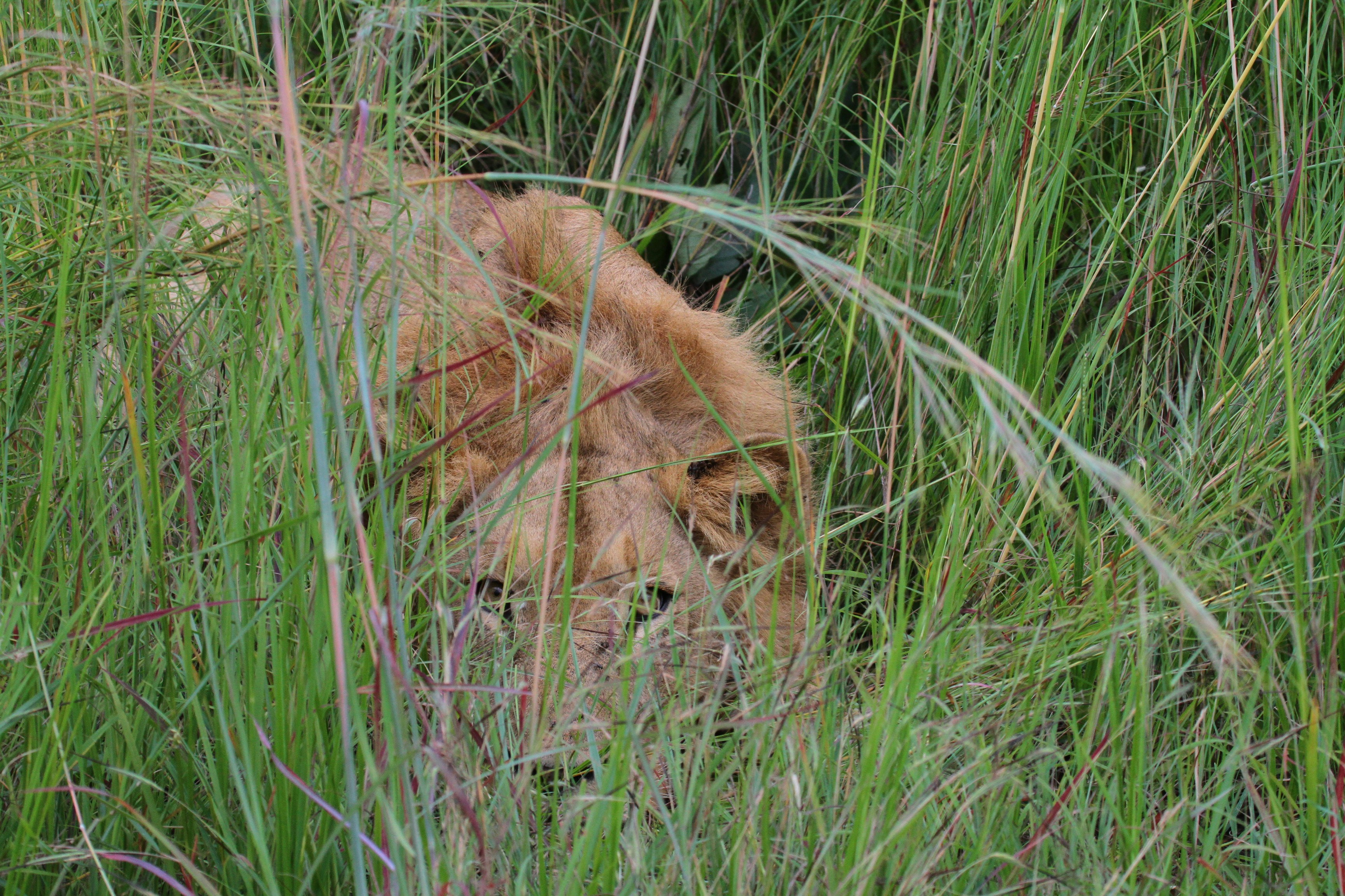 Photo by mitchbwilder