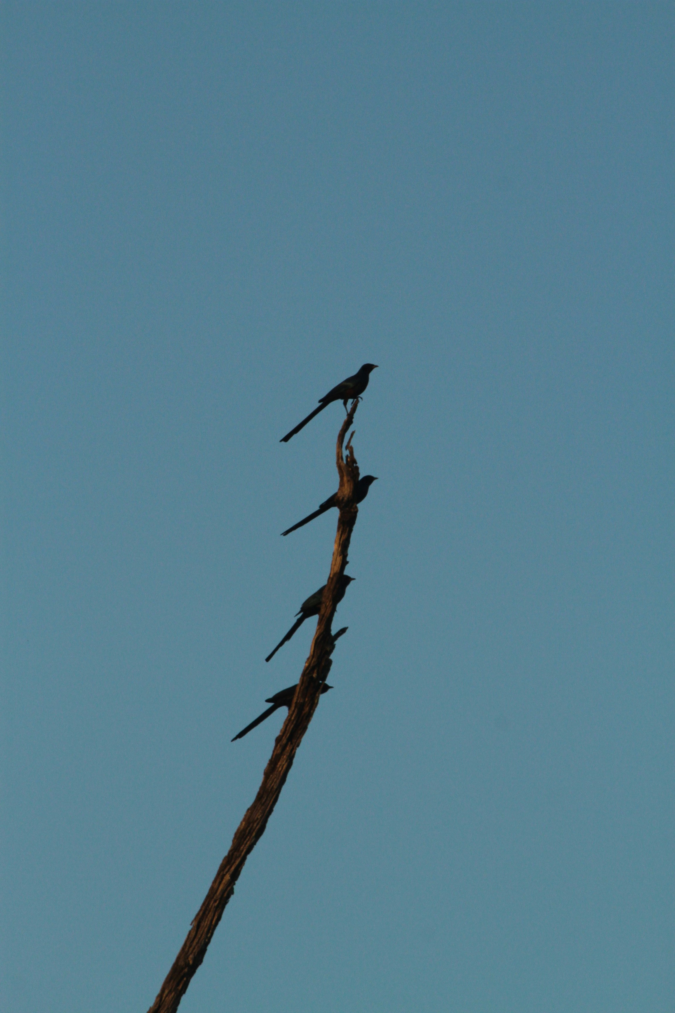 Photo by mitchbwilder