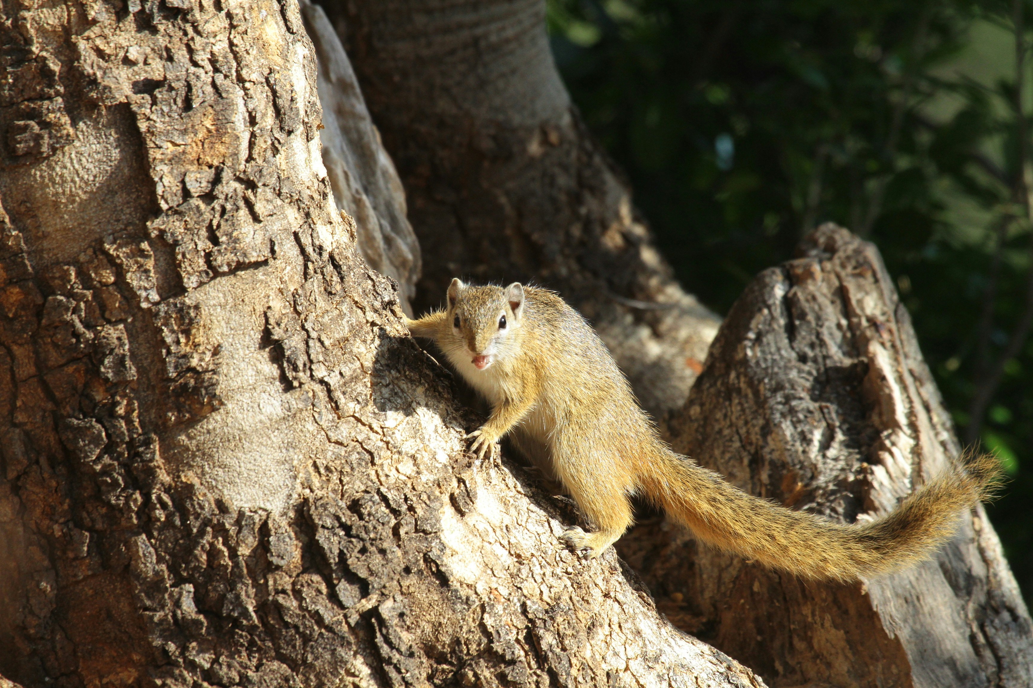 Photo by mitchbwilder