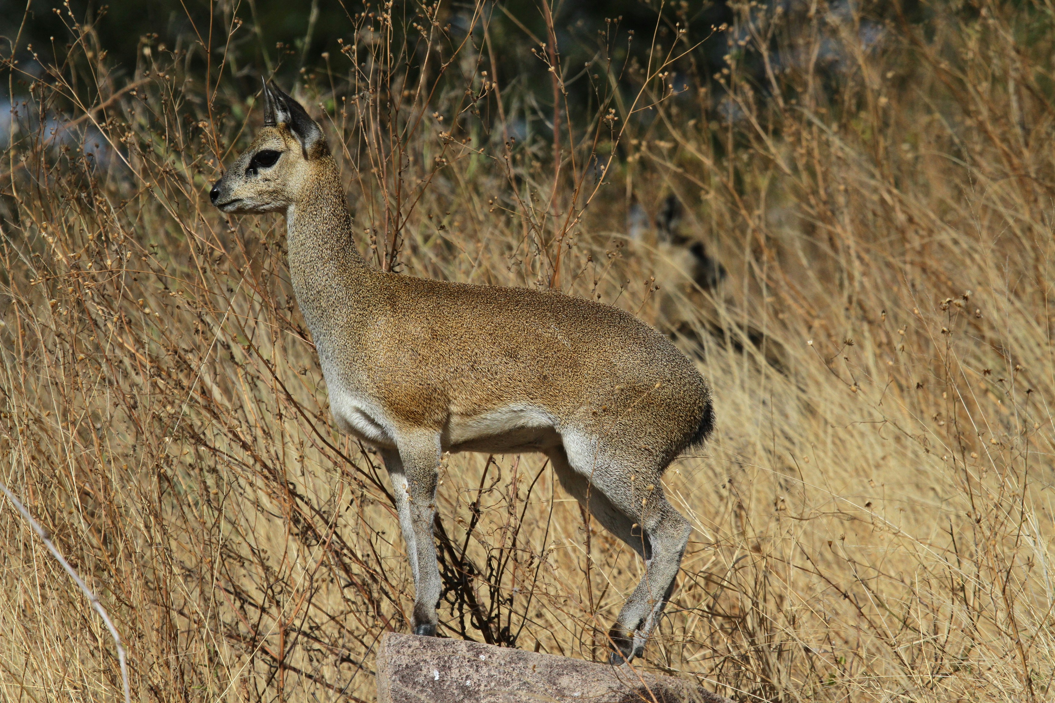 Photo by mitchbwilder