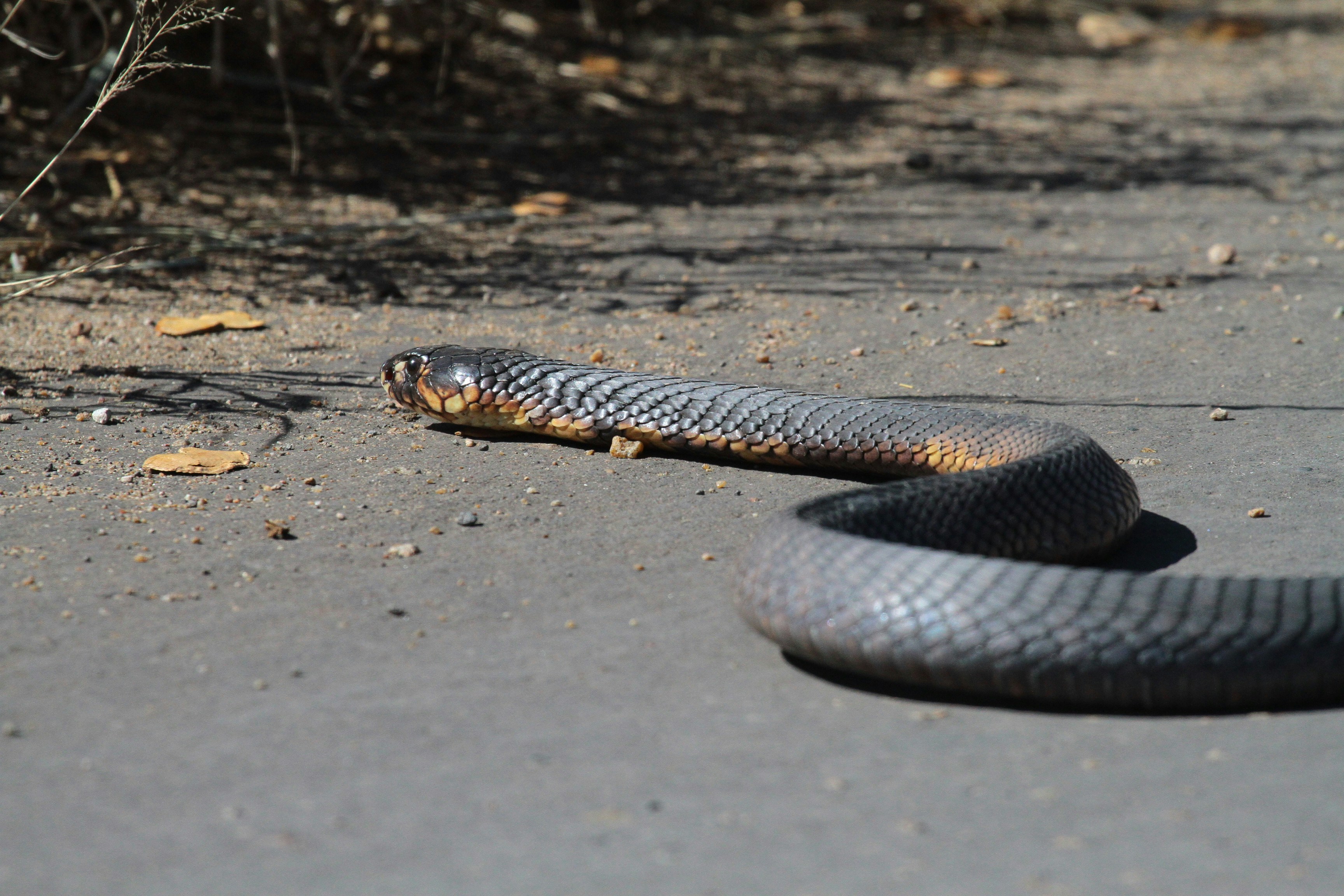 Photo by mitchbwilder