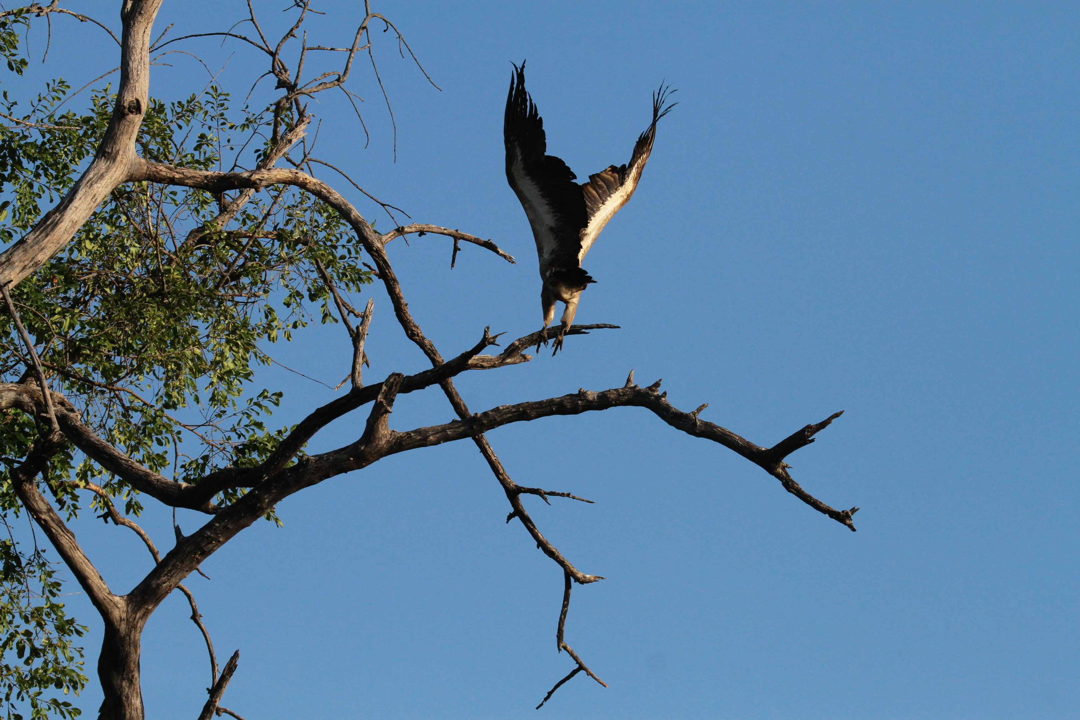 Photo by mitchbwilder