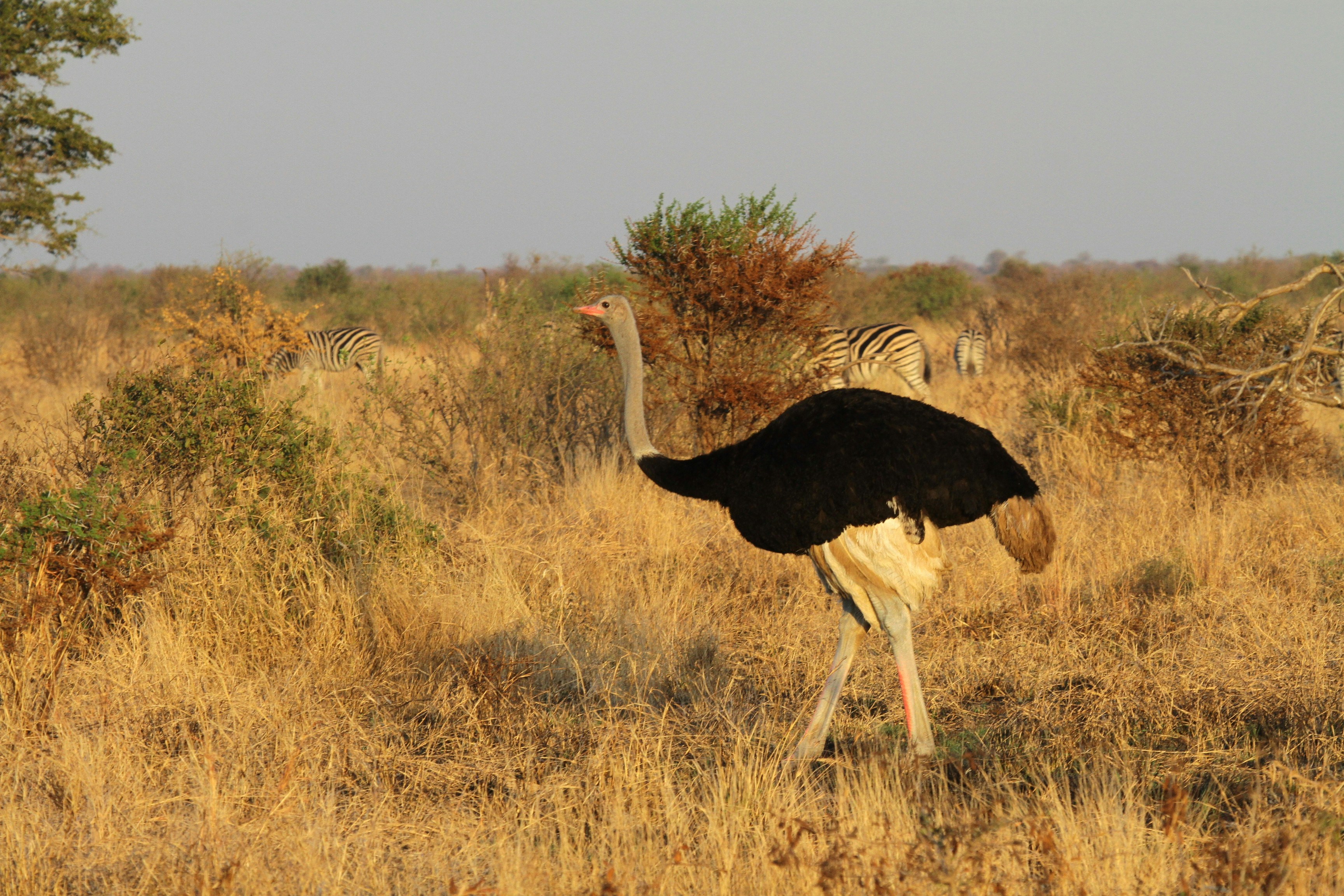 Photo by mitchbwilder