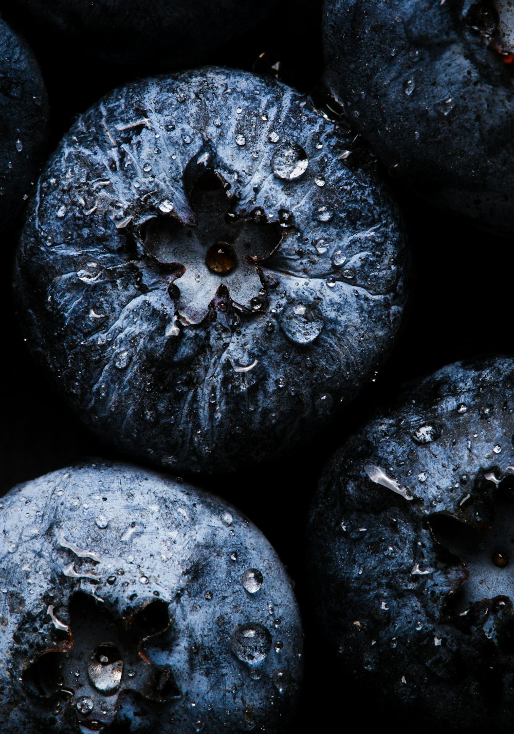 a close up of blueberries with drops of water on them