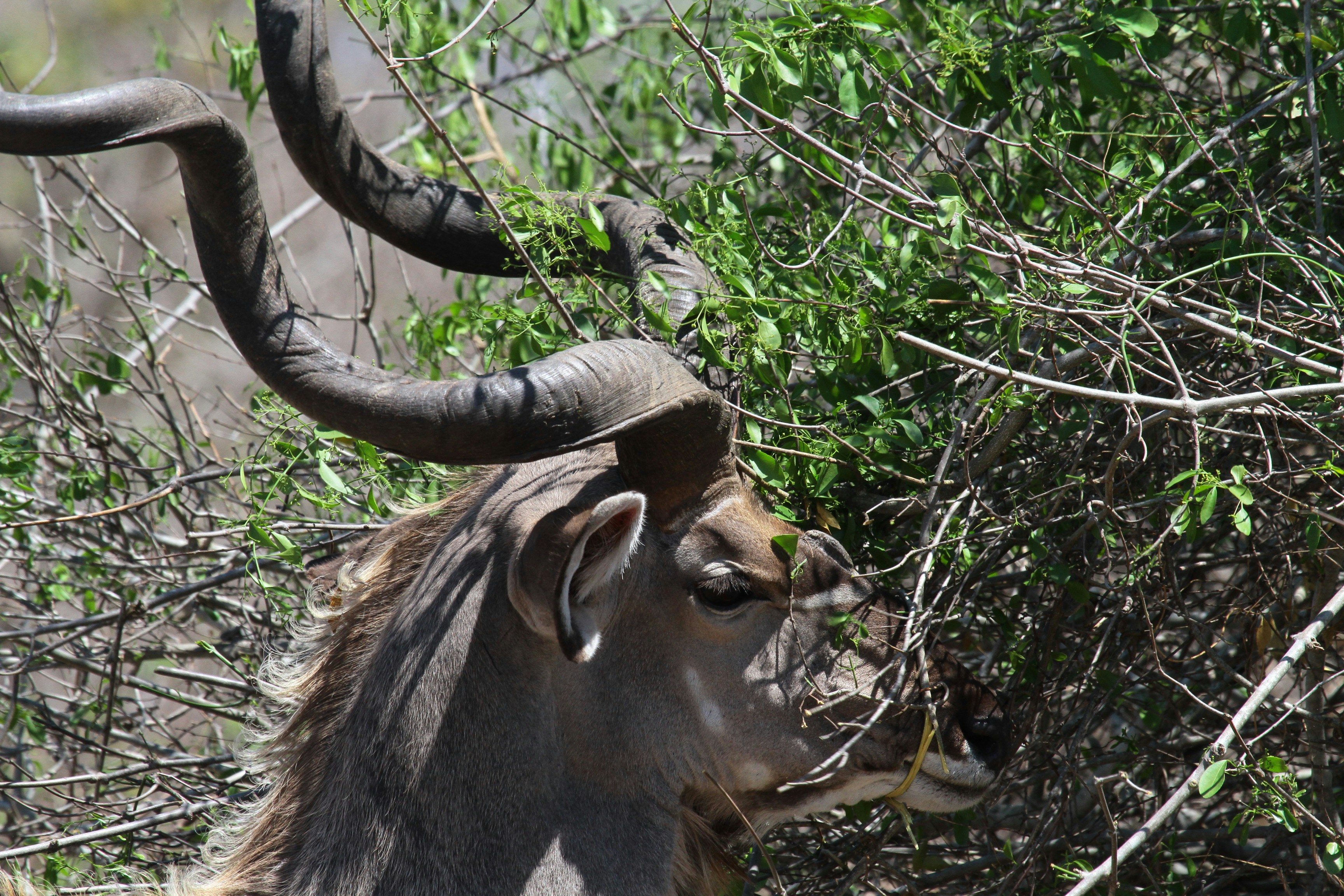 Photo by mitchbwilder