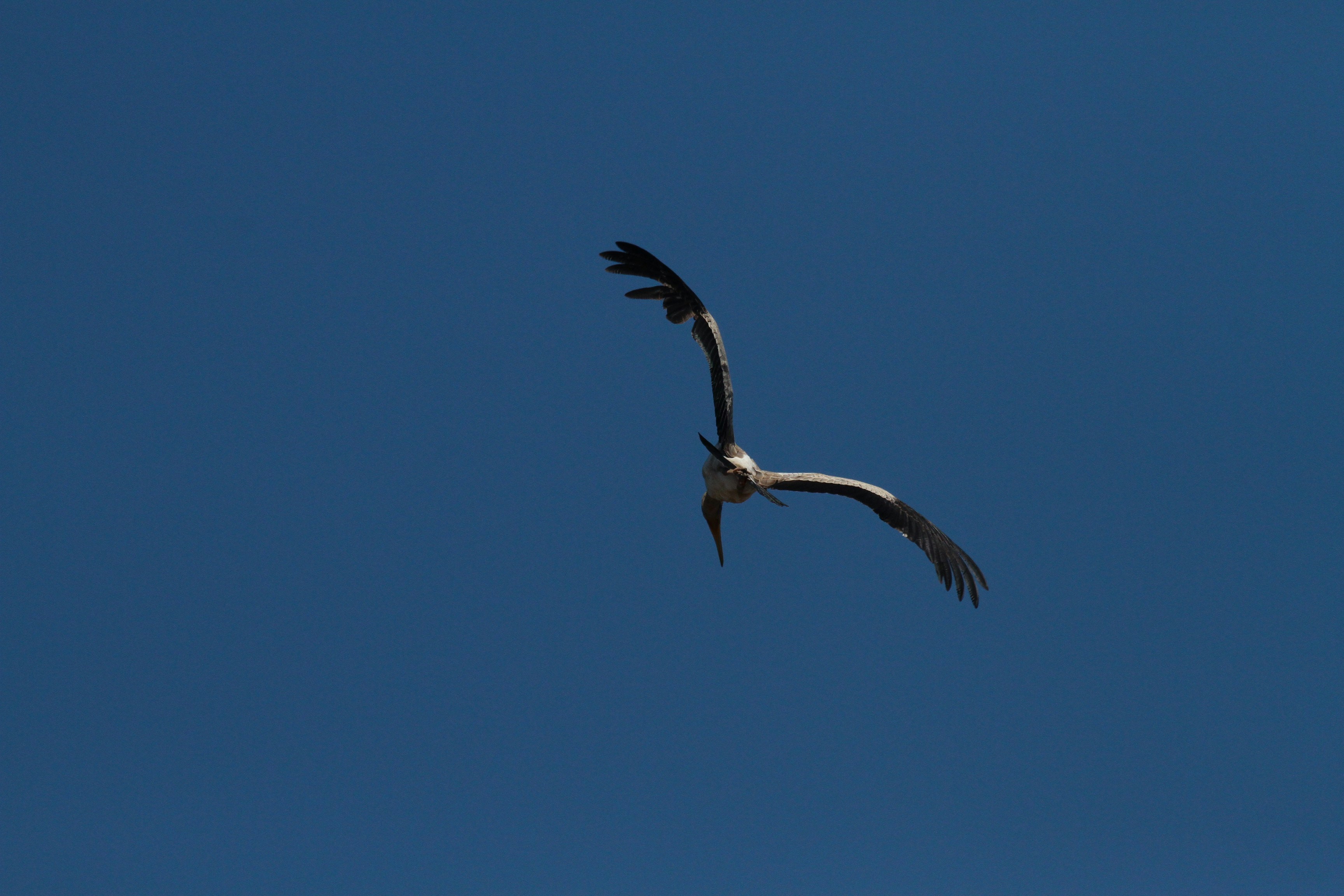 Photo by mitchbwilder