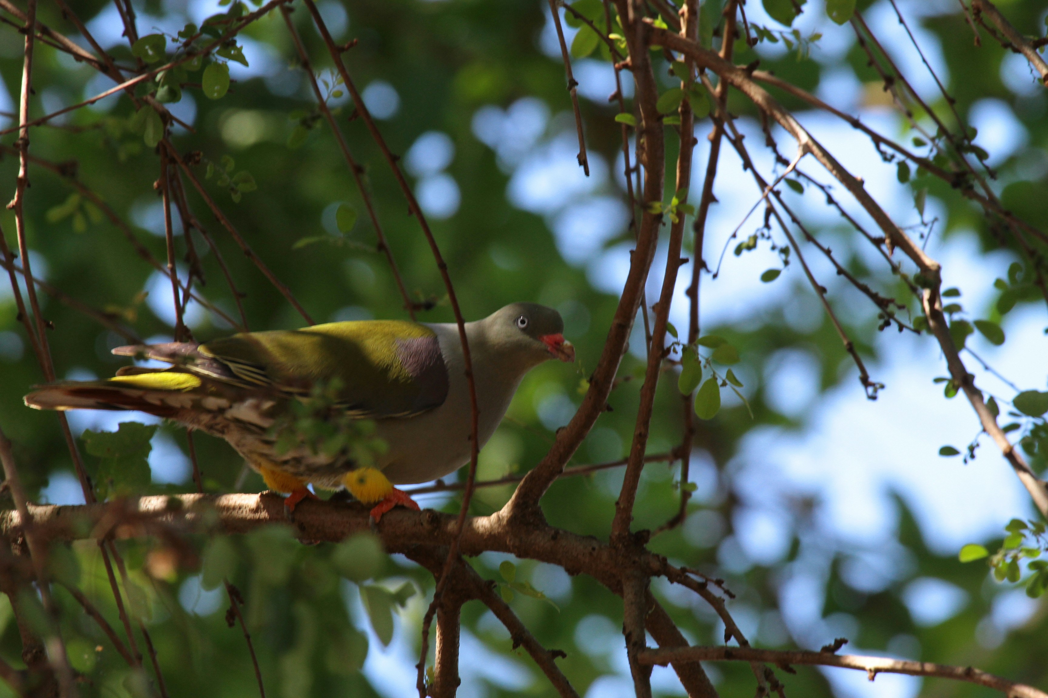 Photo by mitchbwilder