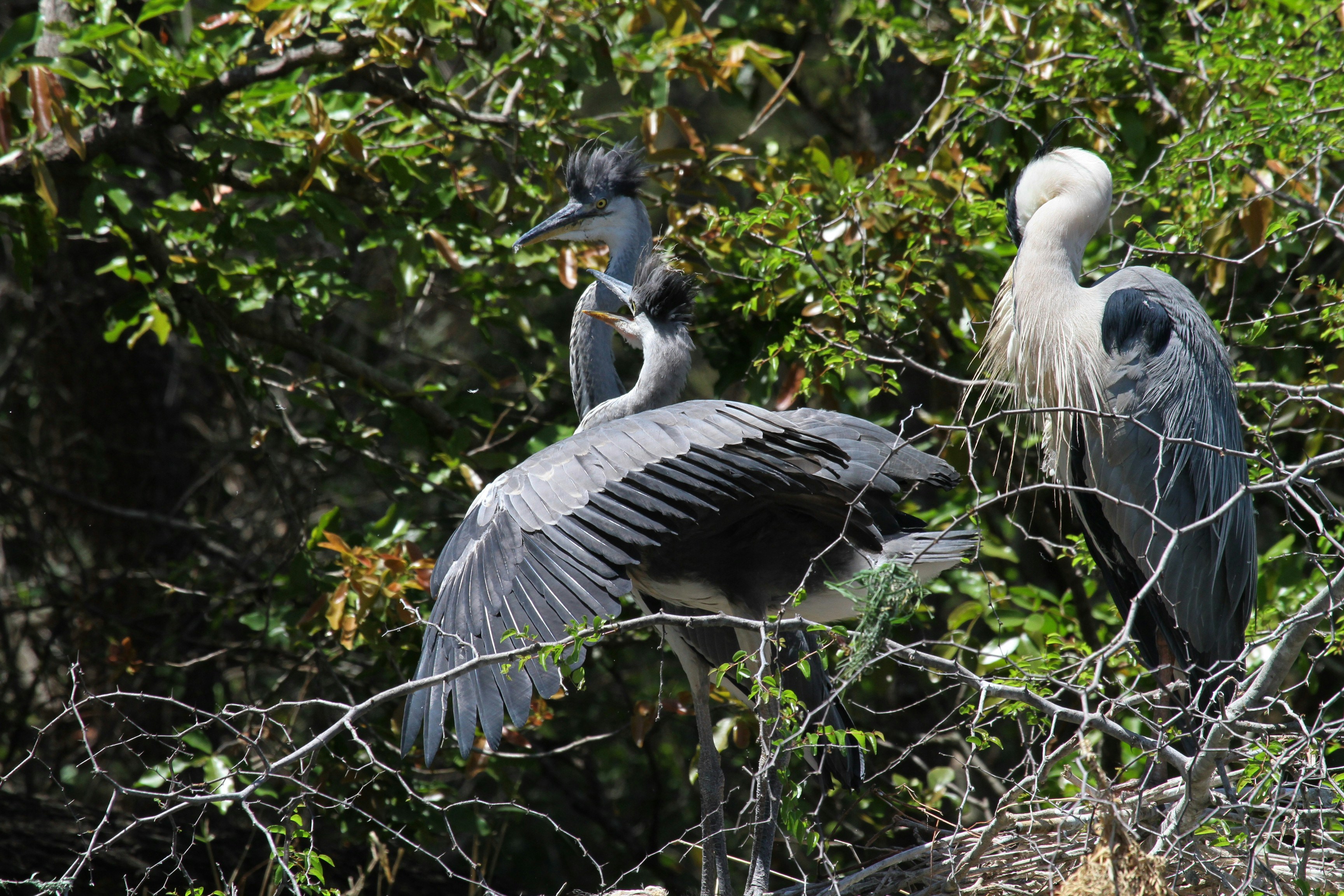 Photo by mitchbwilder