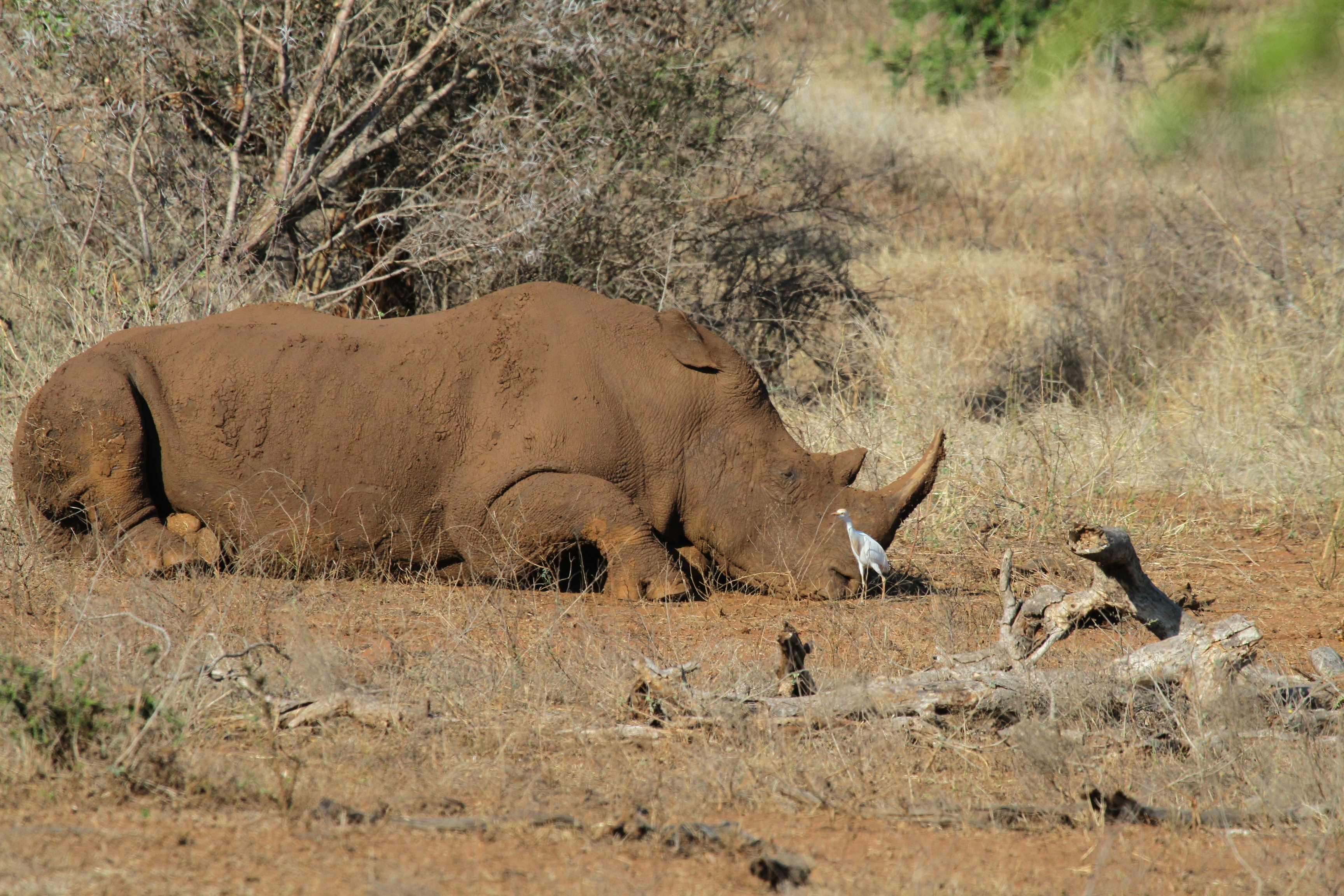 Photo by mitchbwilder