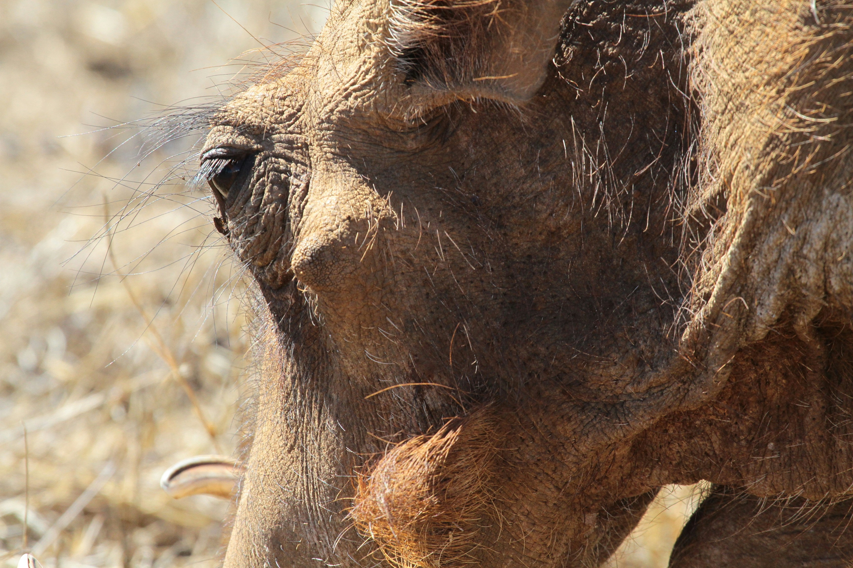 Photo by mitchbwilder