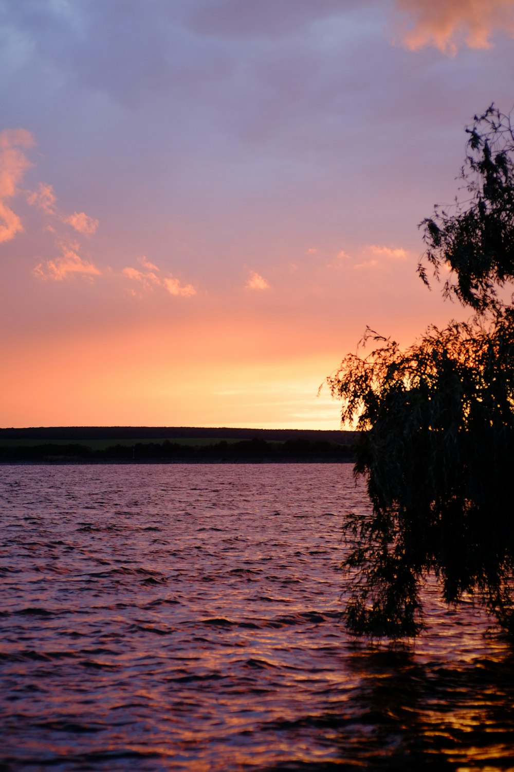 a sunset over a body of water with a tree in the foreground