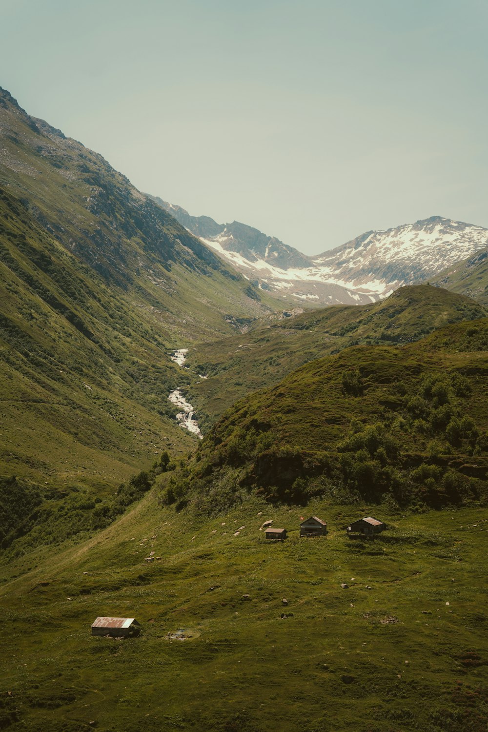 a grassy valley with a stream running through it