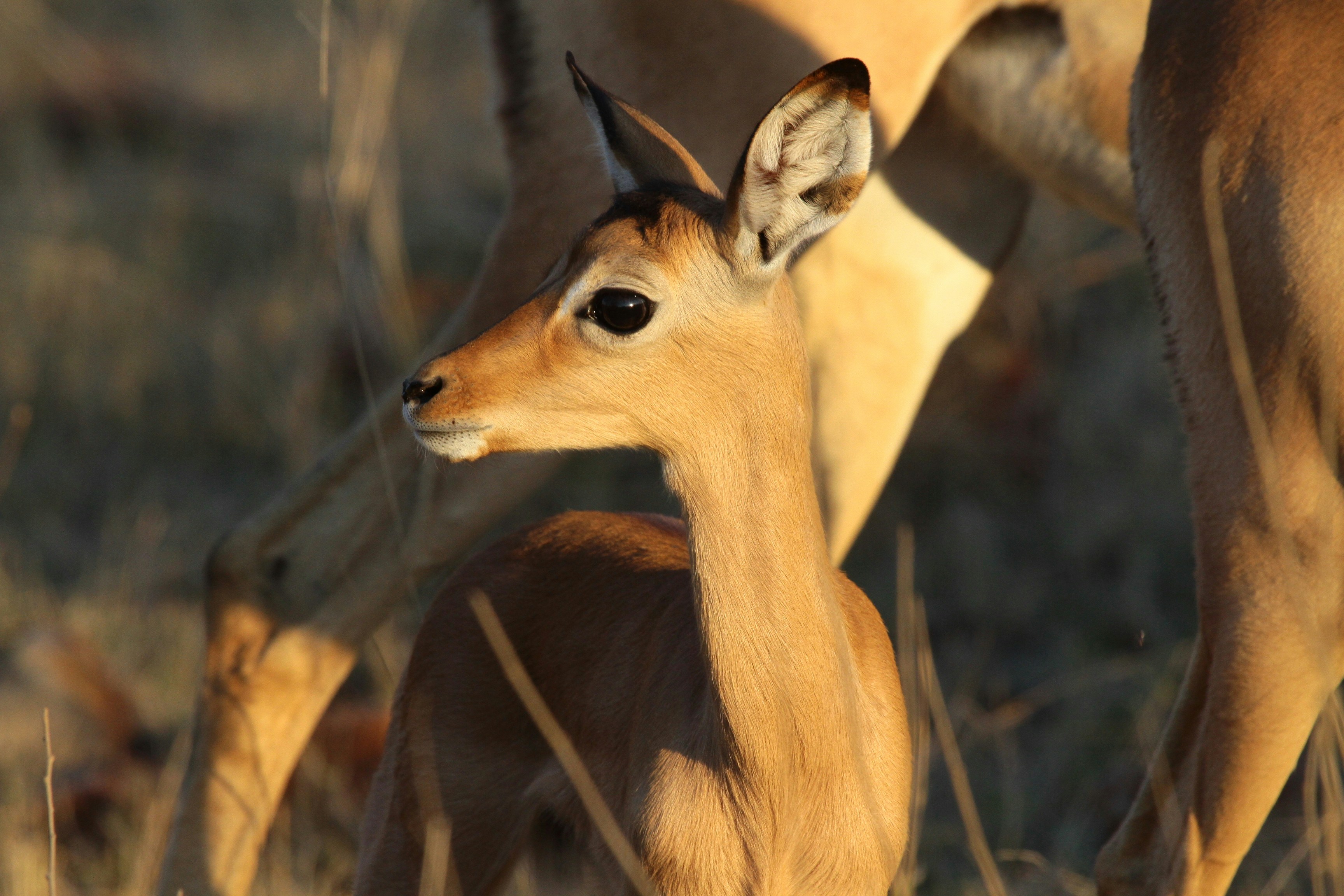 Photo by mitchbwilder