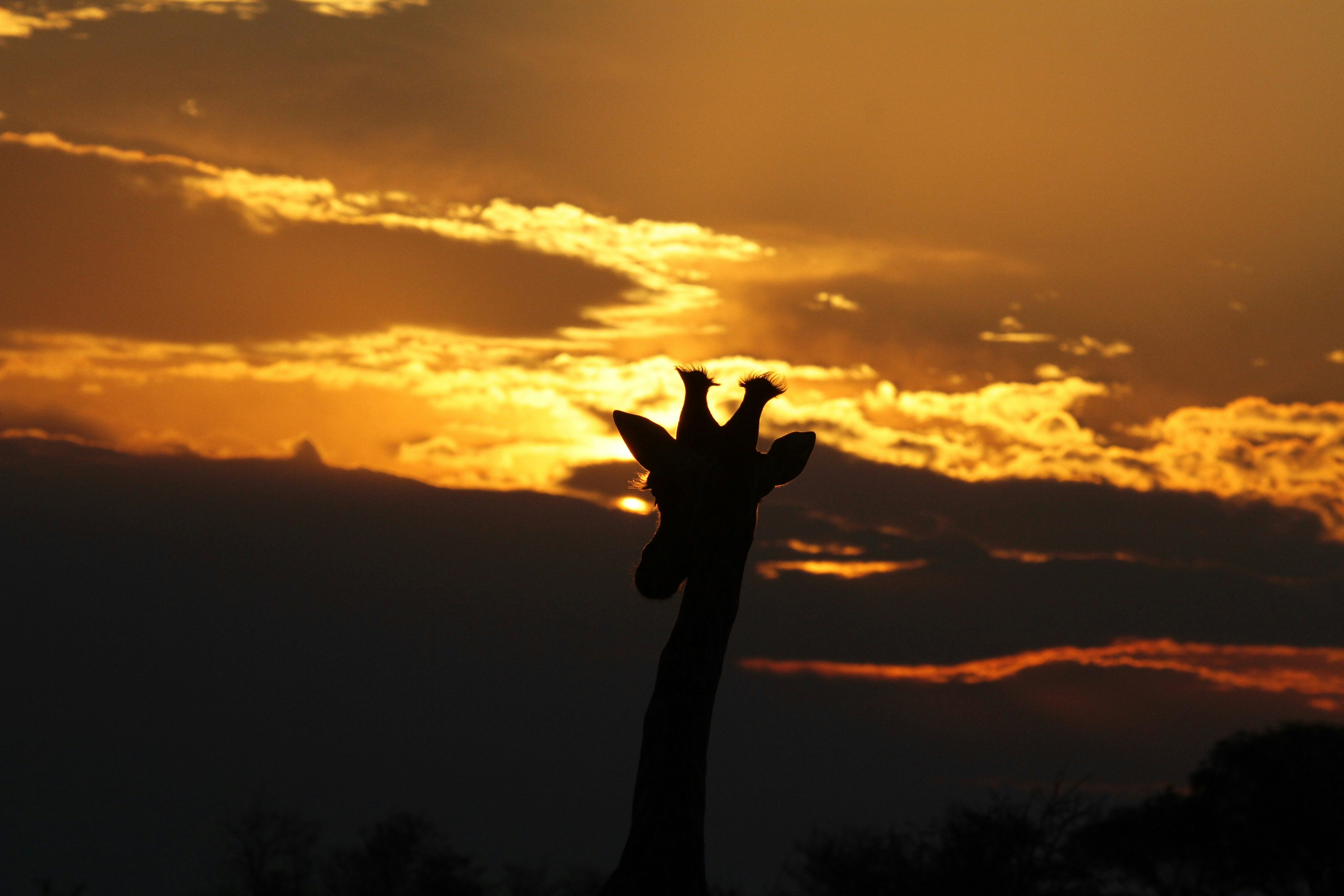 Photo by mitchbwilder