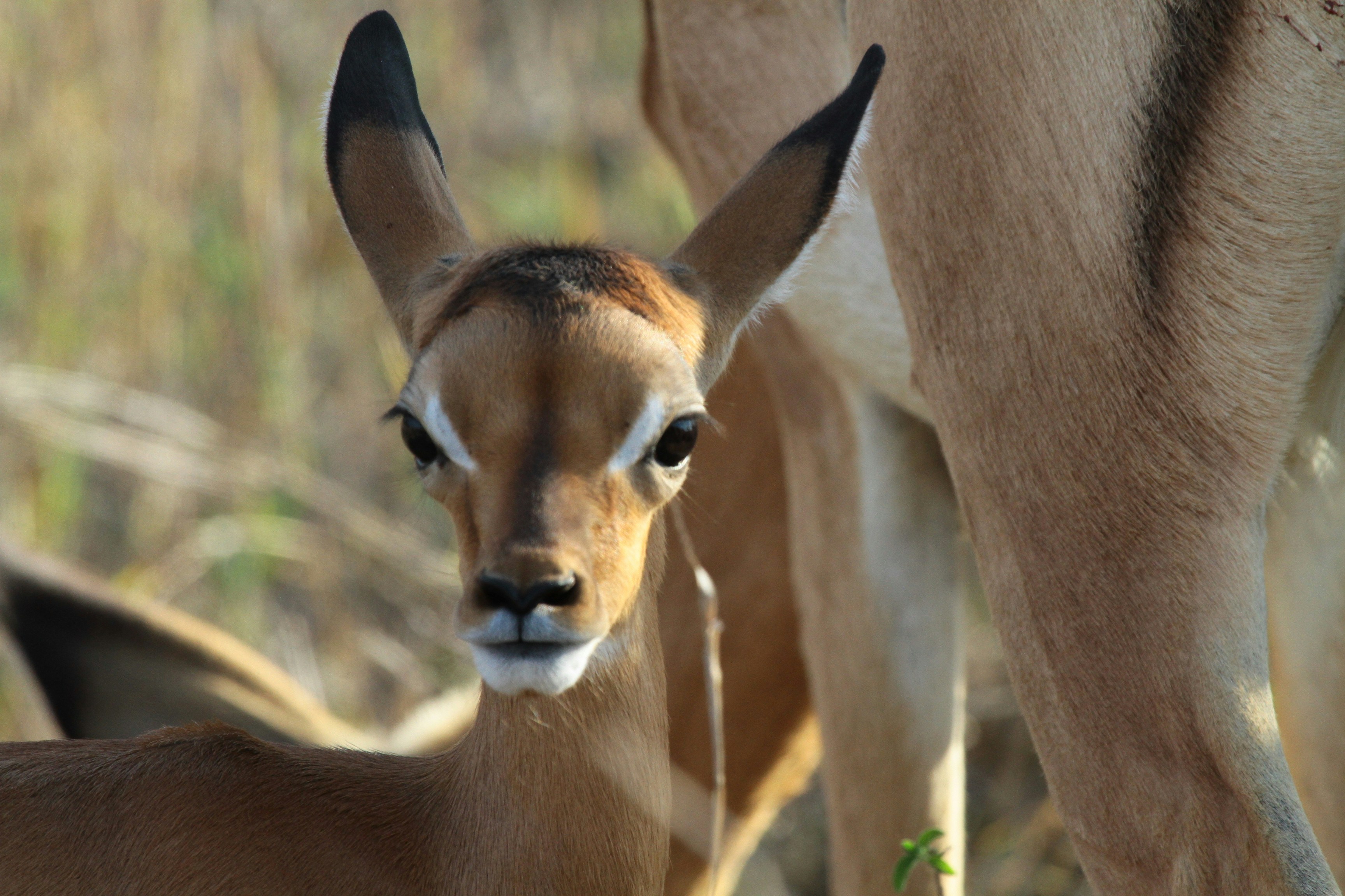 Photo by mitchbwilder