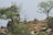 A serene landscape featuring a rocky hilltop with a lone animal, possibly an antelope or deer, standing on a large rock. The scene is framed by lush green trees, some of which are partially barren. The overall setting conveys a natural and tranquil wilderness.