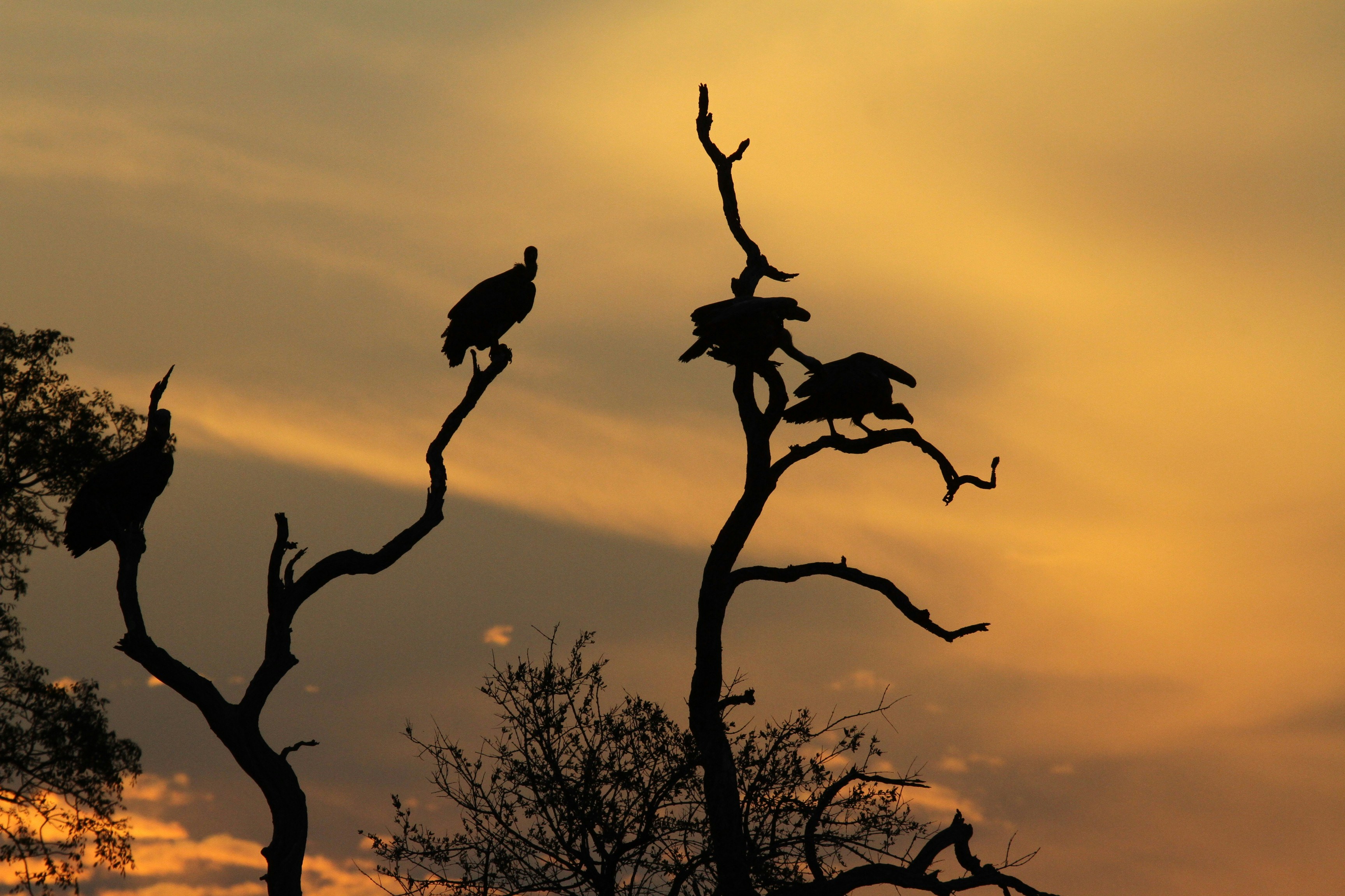 Photo by mitchbwilder