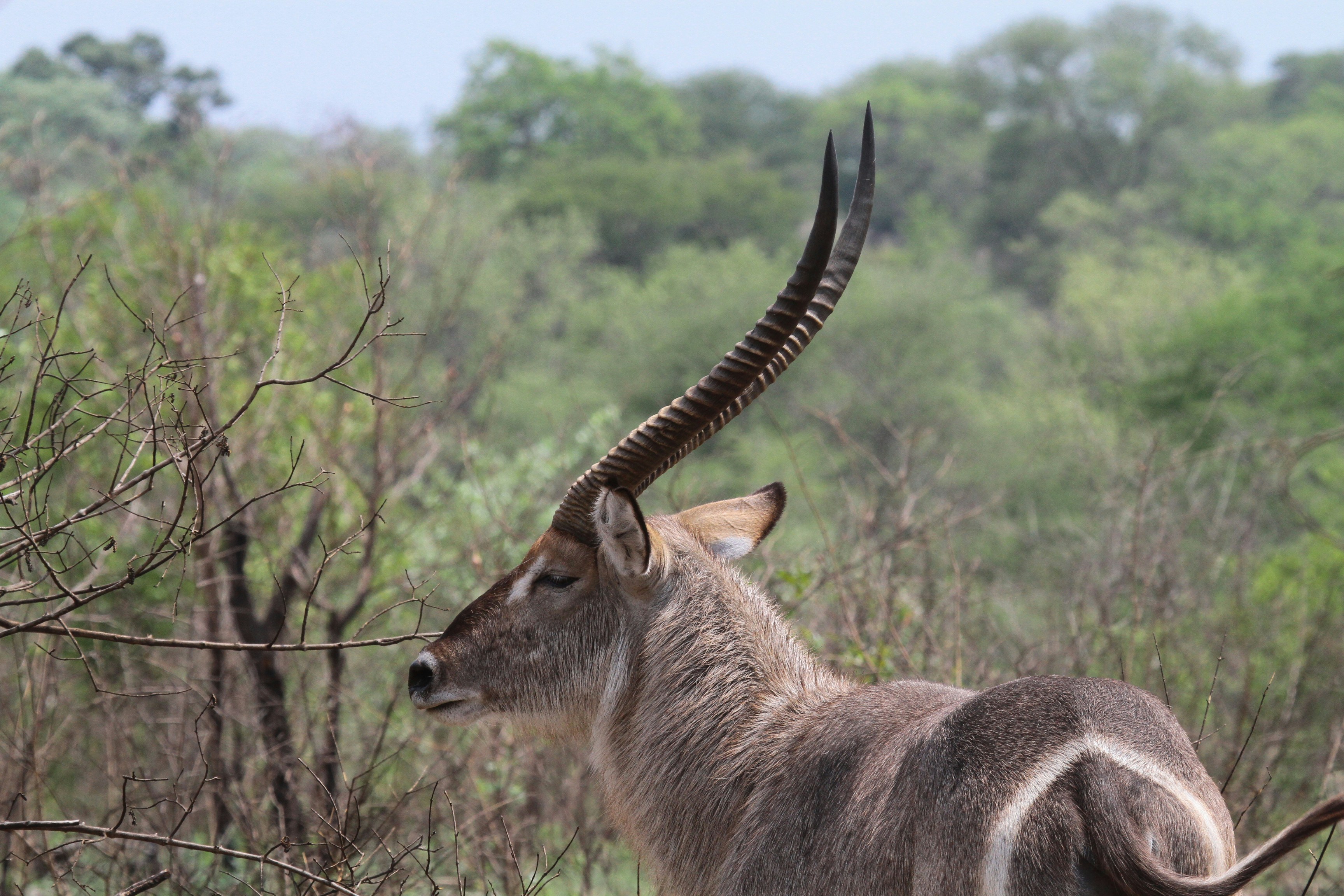 Photo by mitchbwilder