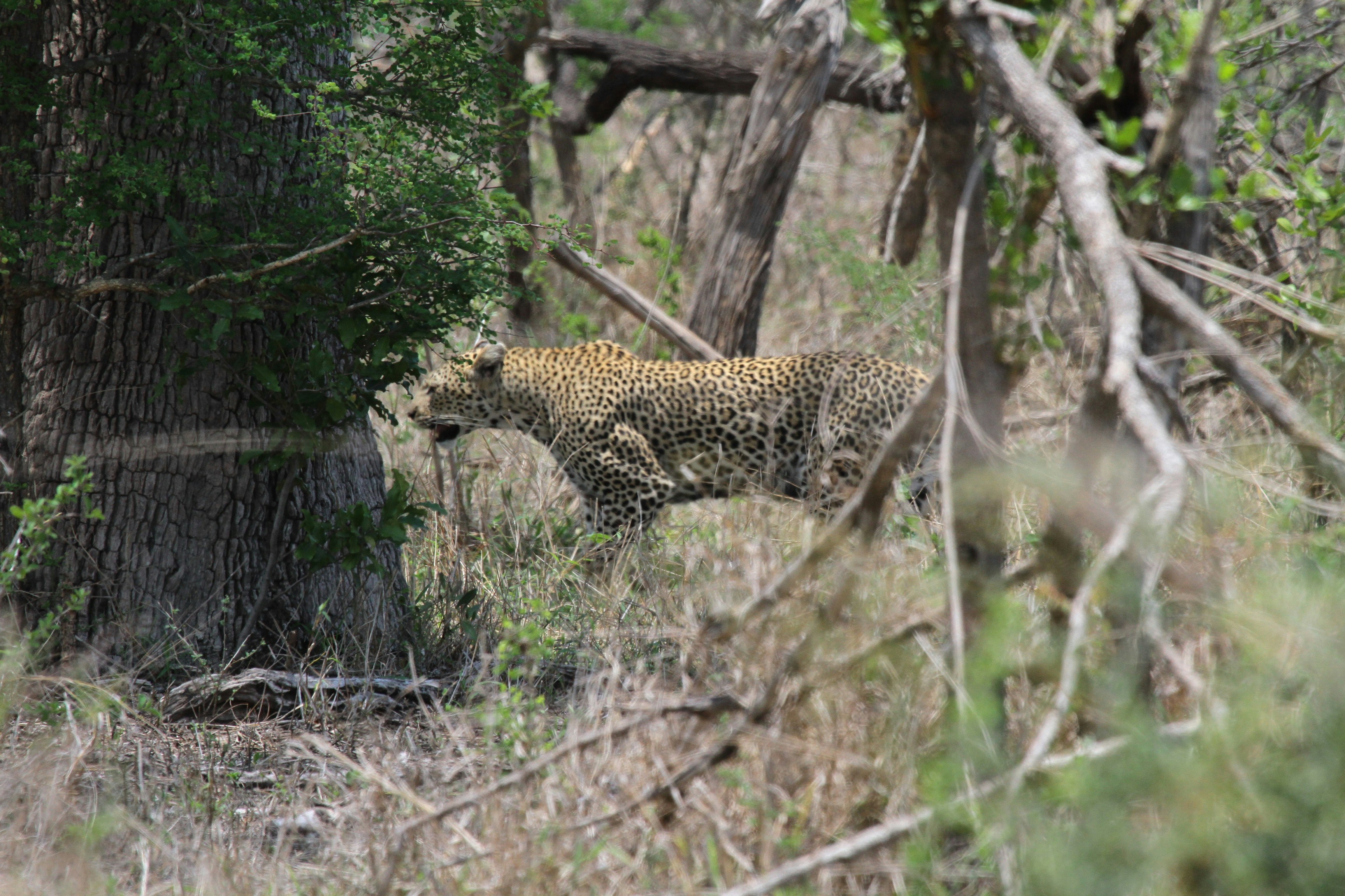 Photo by mitchbwilder