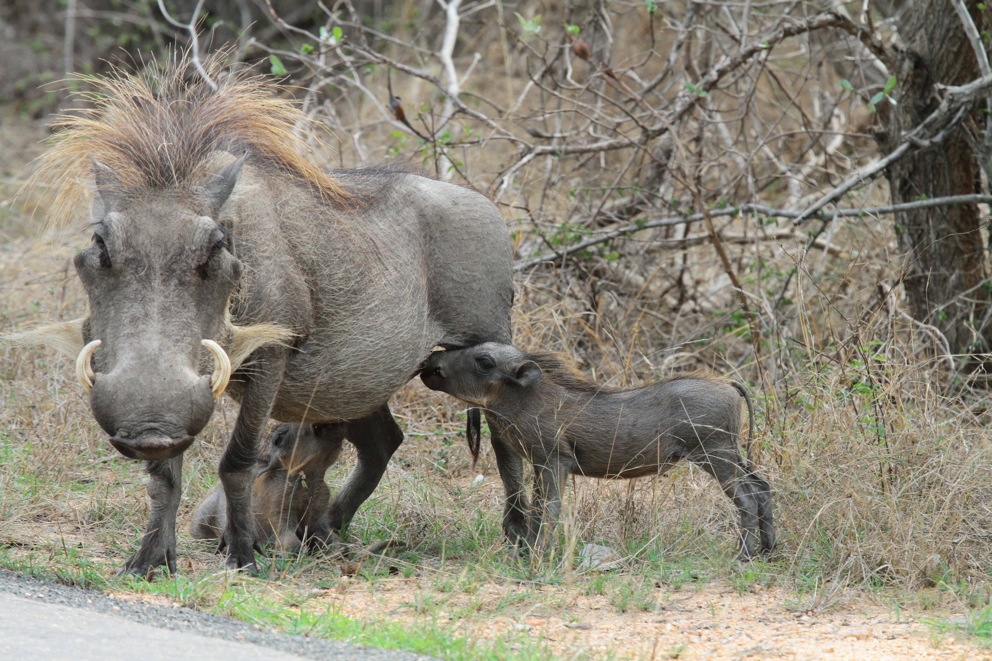 Photo by mitchbwilder