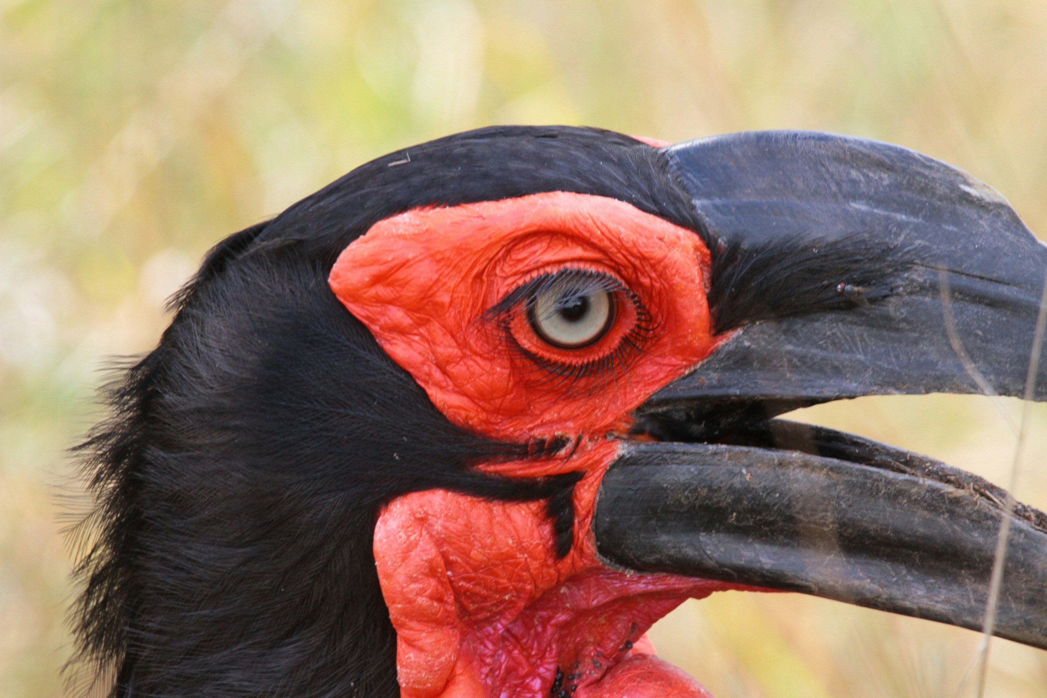 Photo by mitchbwilder