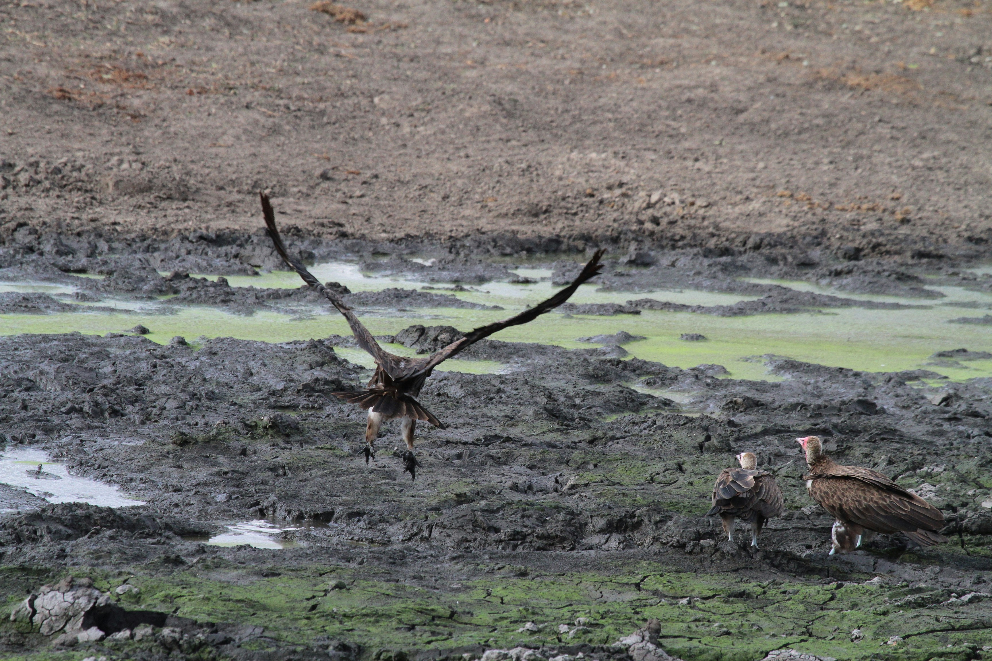 Photo by mitchbwilder