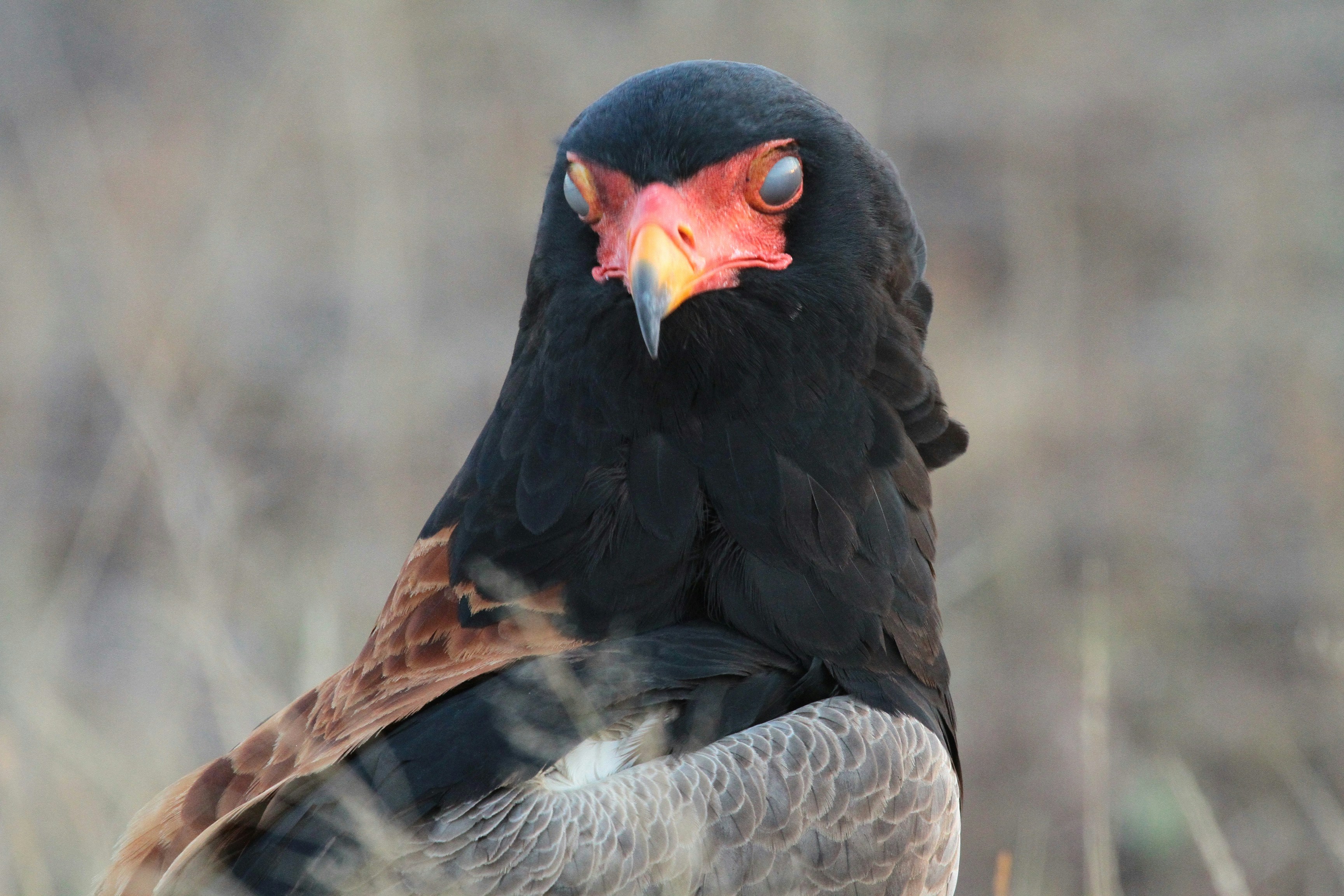 Photo by mitchbwilder