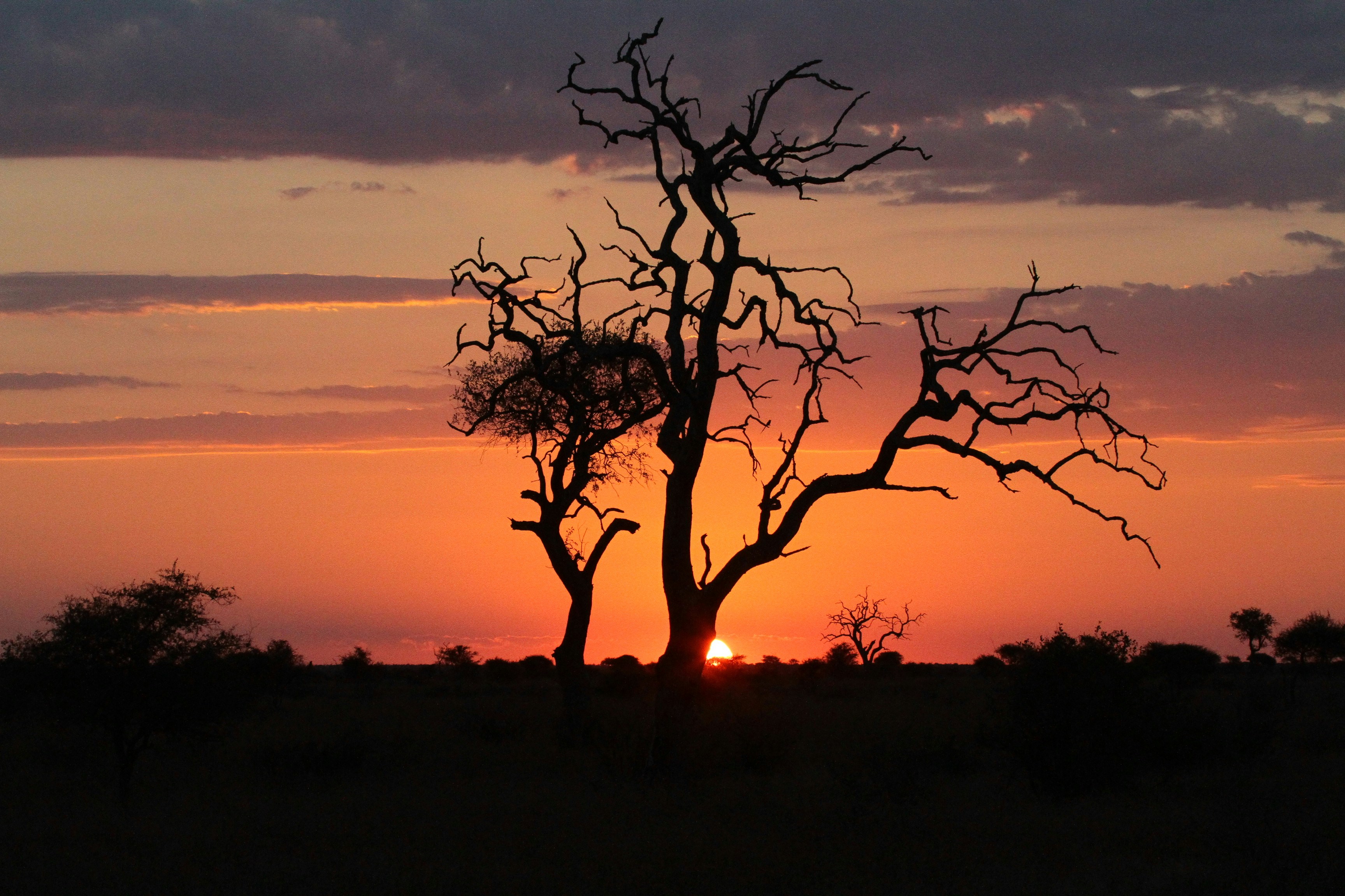 Photo by mitchbwilder