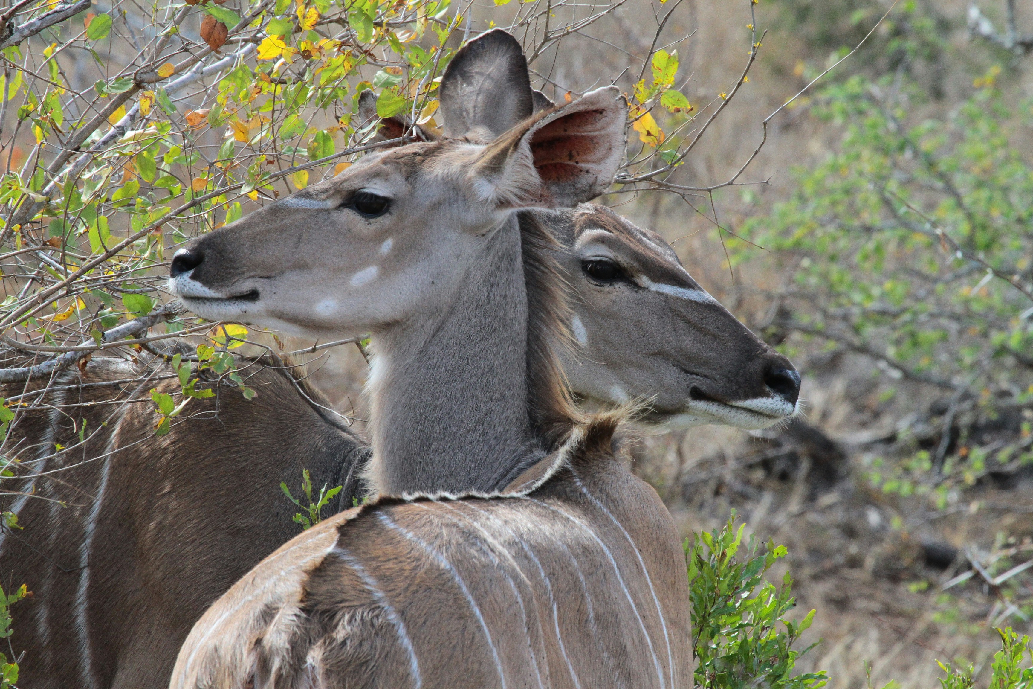 Photo by mitchbwilder