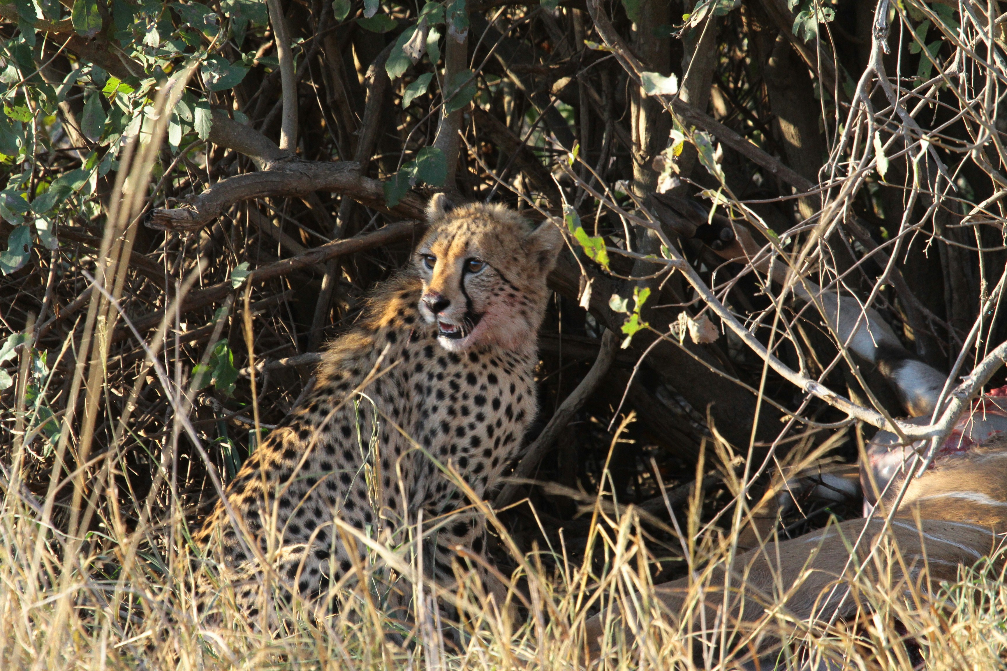 Photo by mitchbwilder