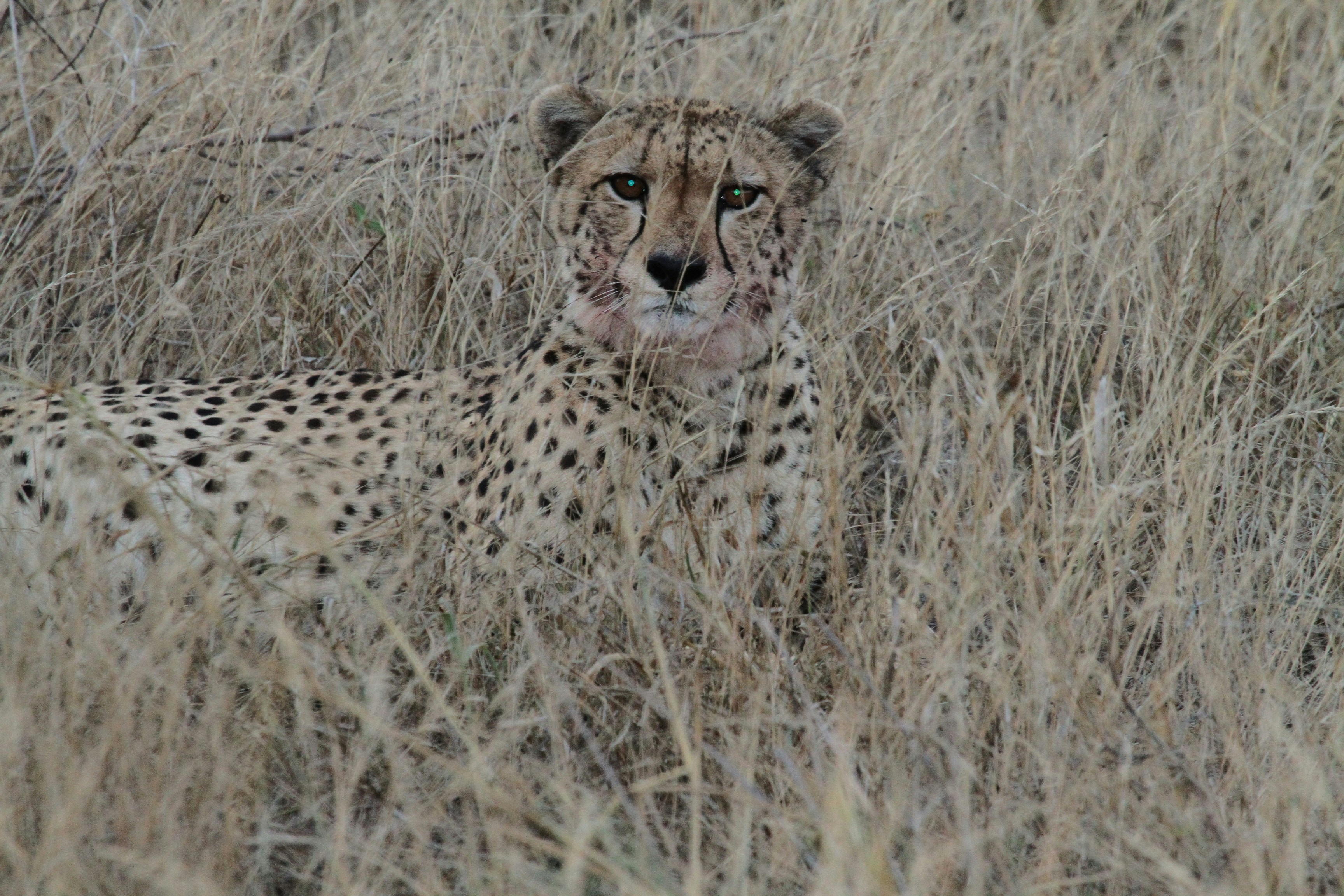 Photo by mitchbwilder