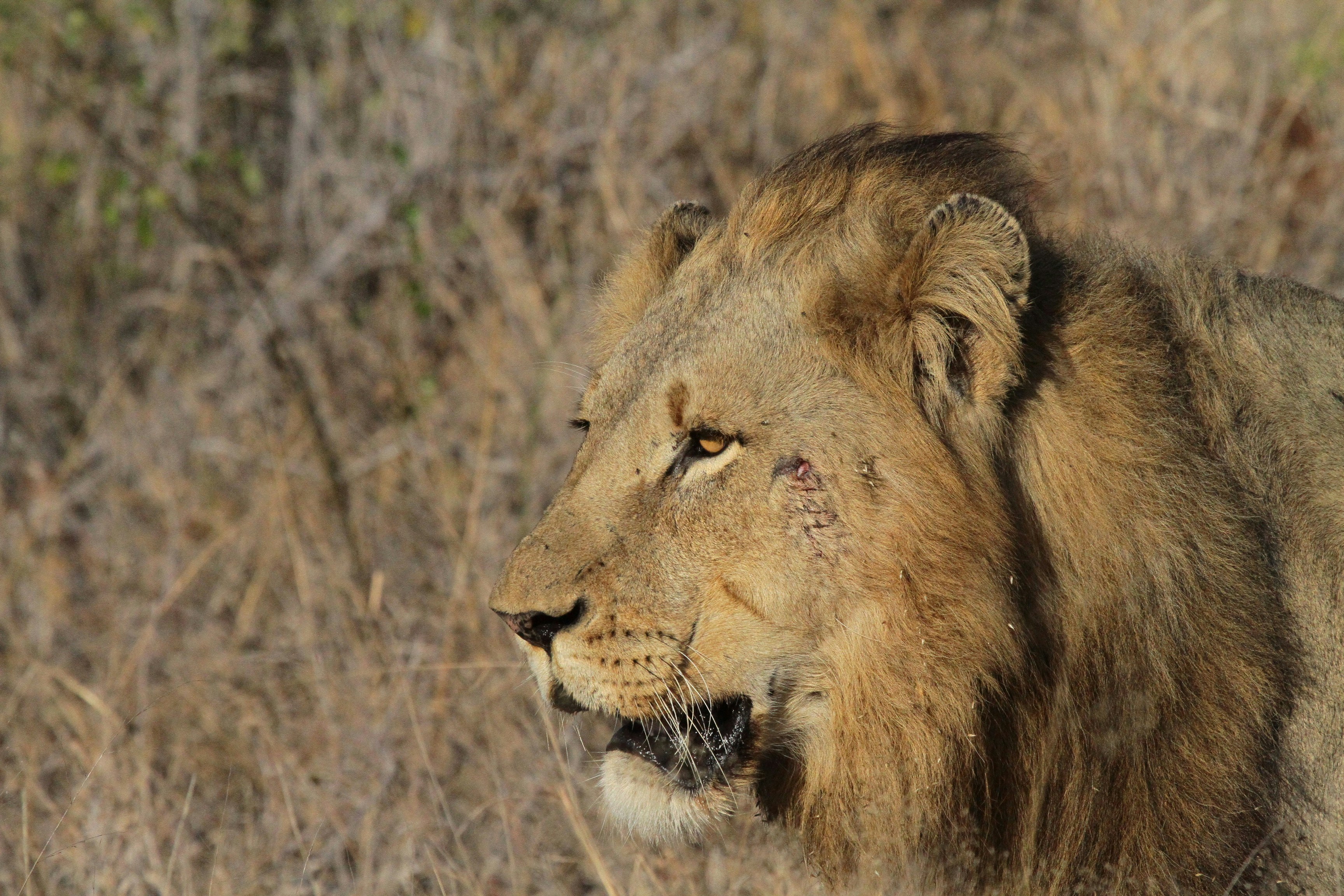 Photo by mitchbwilder